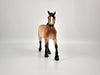 Rummy-Dapple Bay Trotting Drafter Pebbles Sheryl Leisure 12/21/20