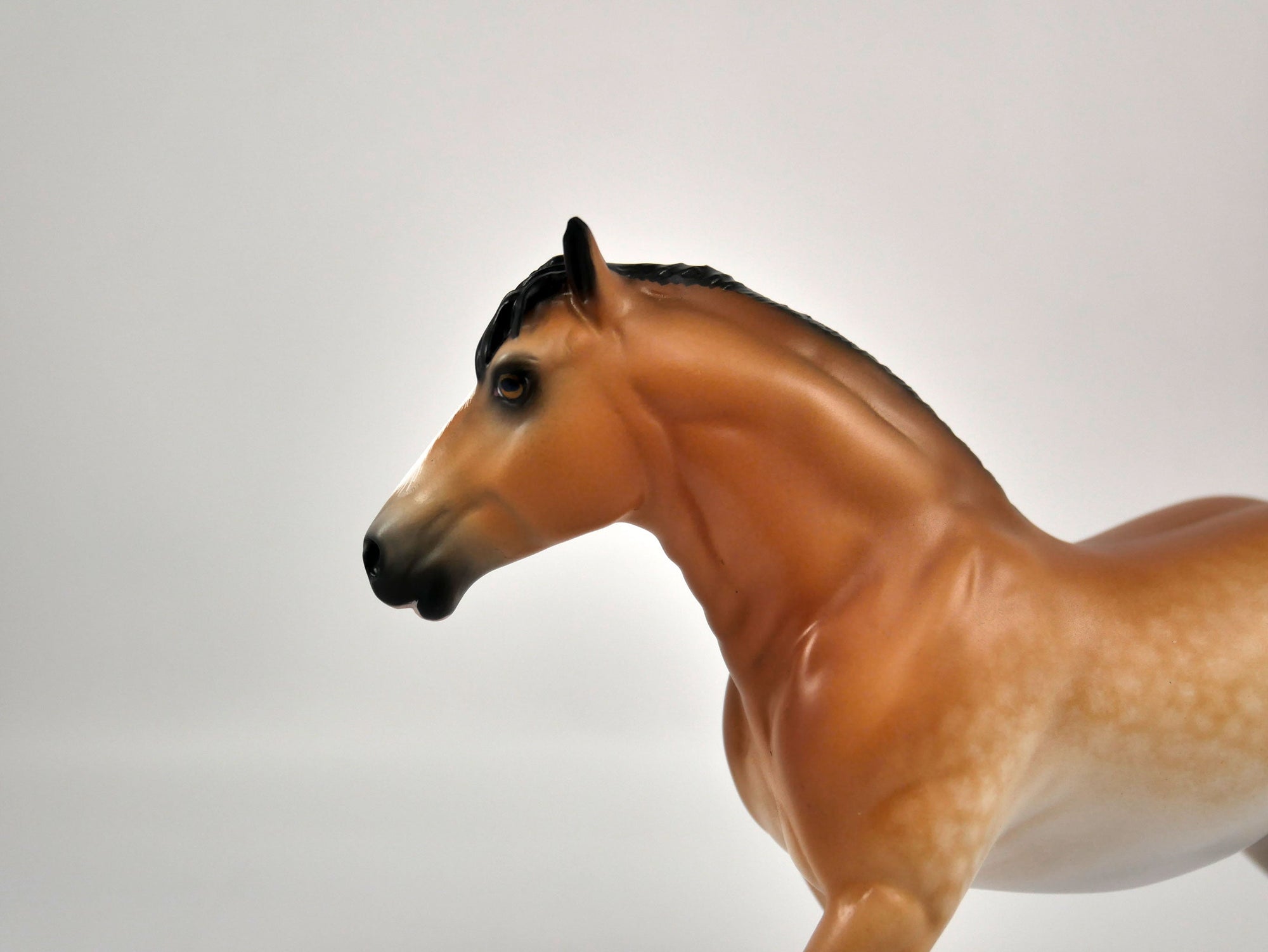 Rummy-Dapple Bay Trotting Drafter Pebbles Sheryl Leisure 12/21/20