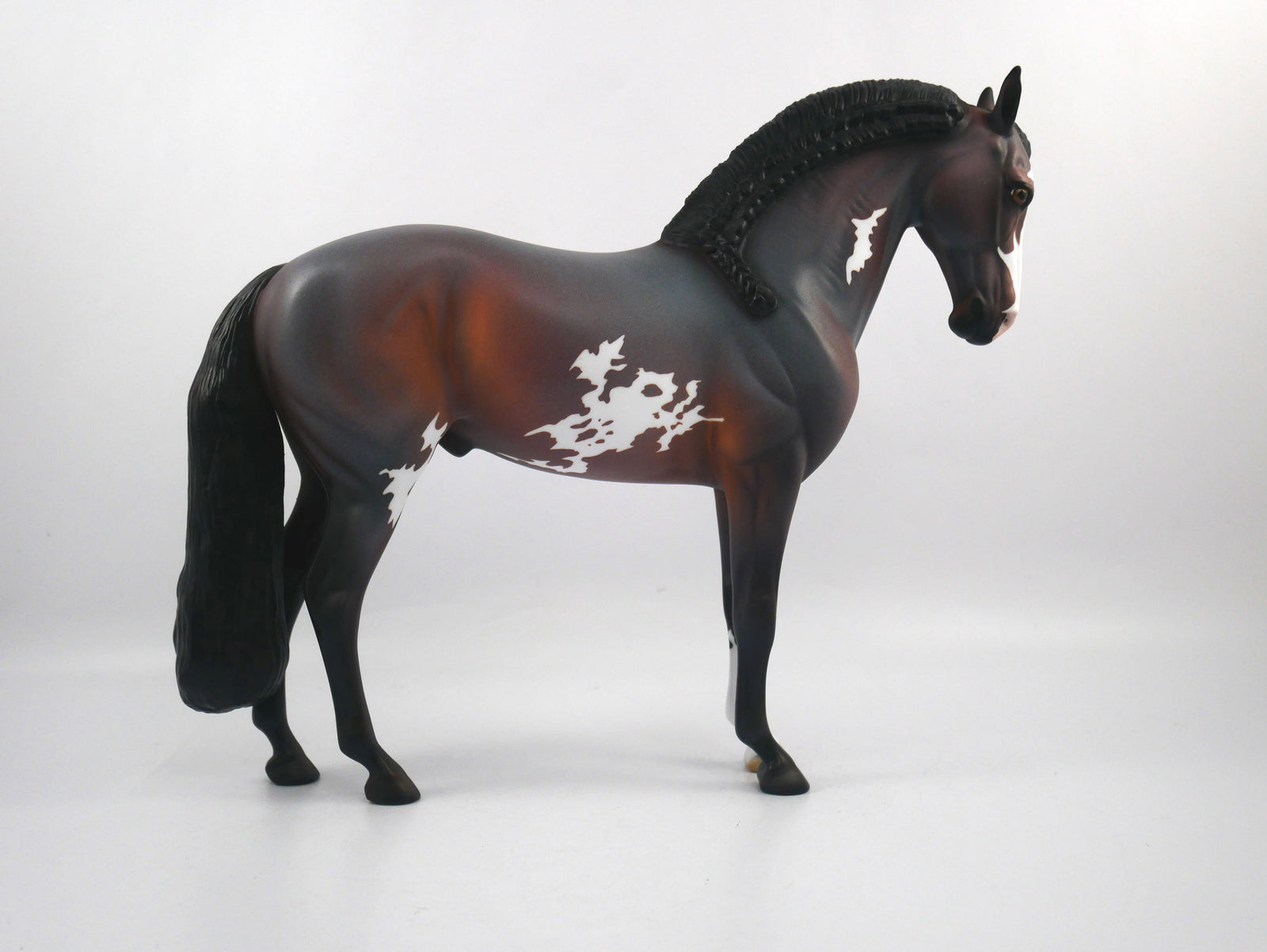 Rush-OOAK Bay Paint Andalusian SB 21