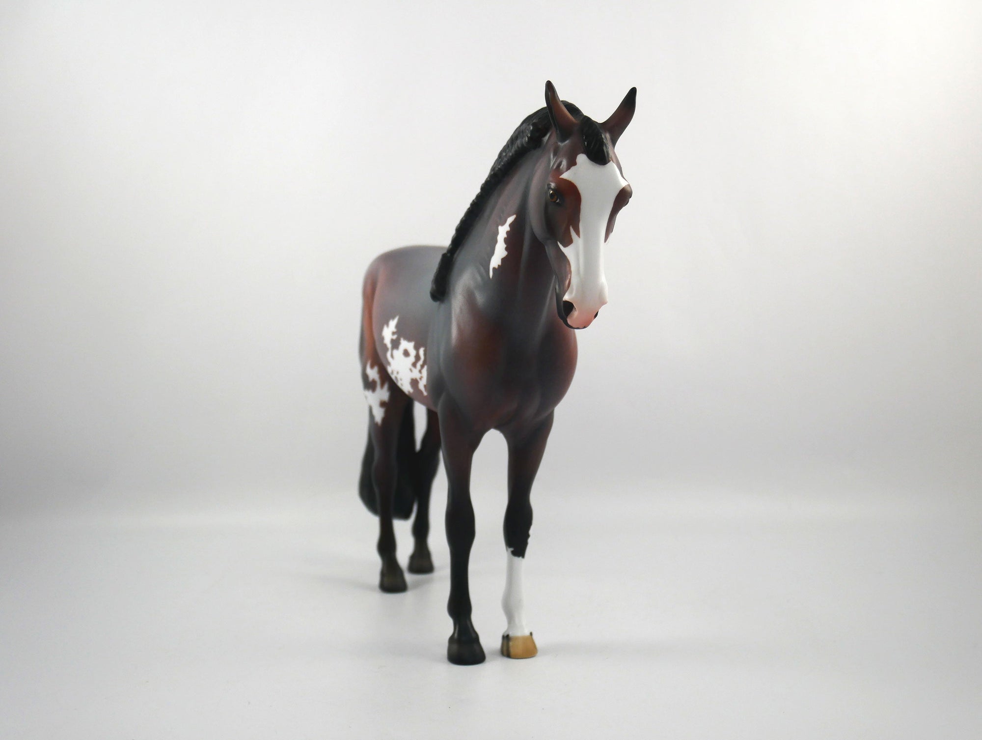 Rush-OOAK Bay Paint Andalusian SB 21