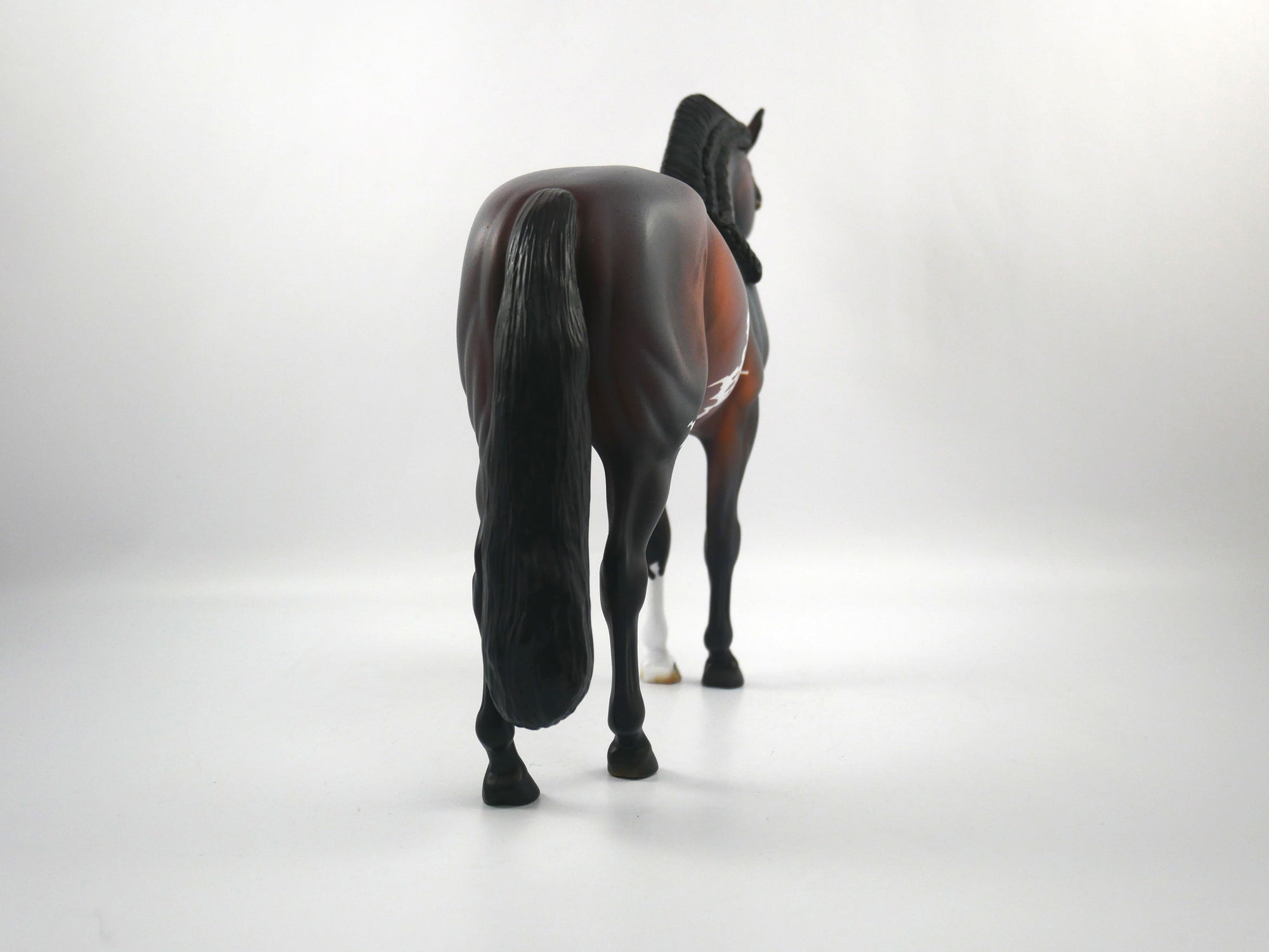 Rush-OOAK Bay Paint Andalusian SB 21