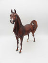 Rusty Cowboy- OOAK -Chestnut Arabian By Ashley Palmer- SHCF23