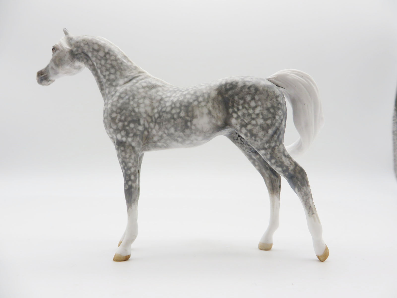 SAGUARO - OOAK Dapple Grey Arabian Chip LHS 22