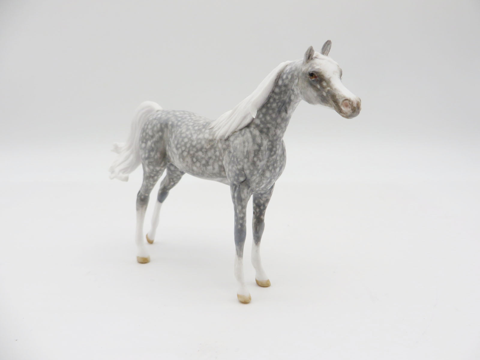 SAGUARO - OOAK Dapple Grey Arabian Chip LHS 22