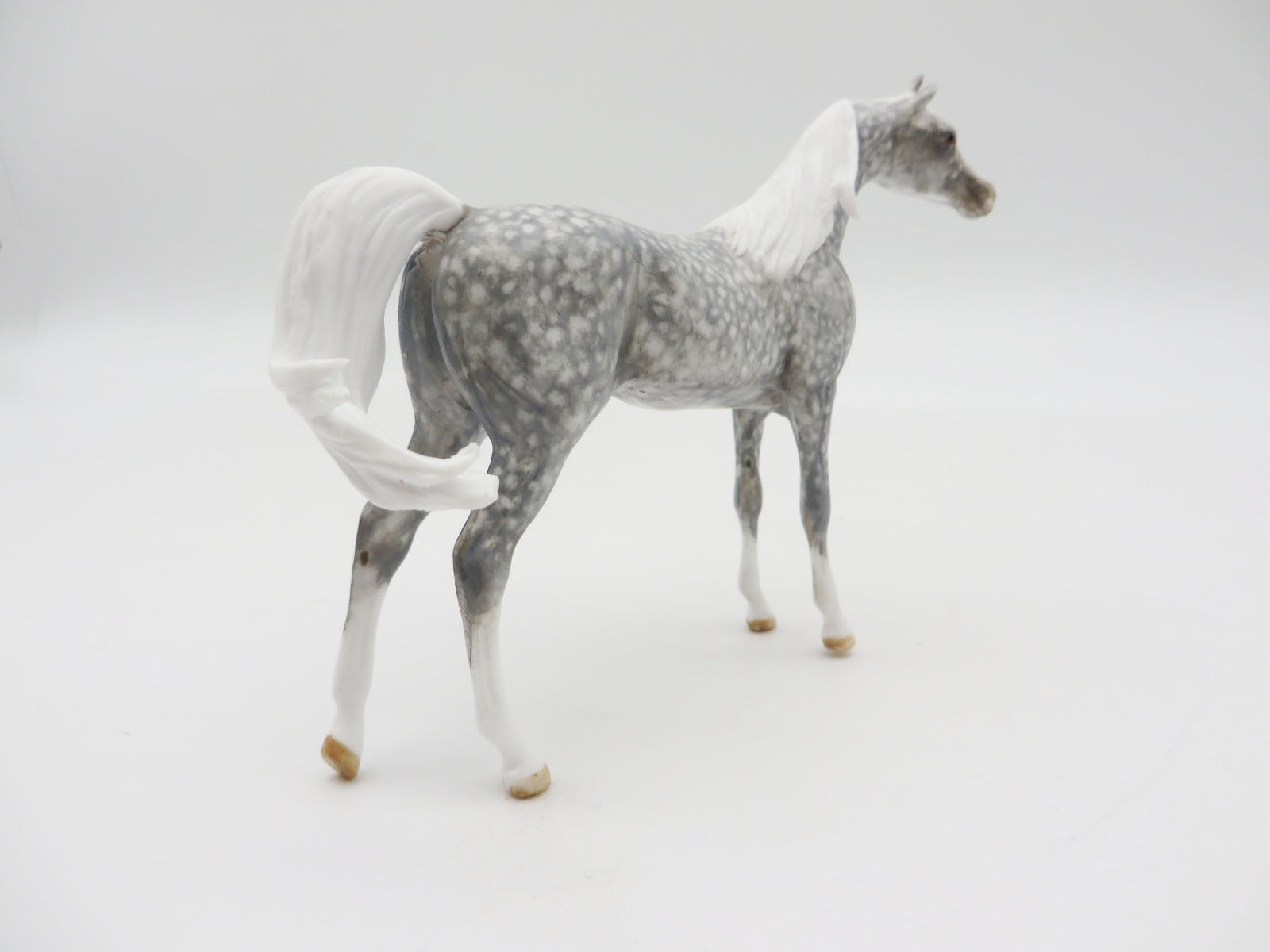 SAGUARO - OOAK Dapple Grey Arabian Chip LHS 22