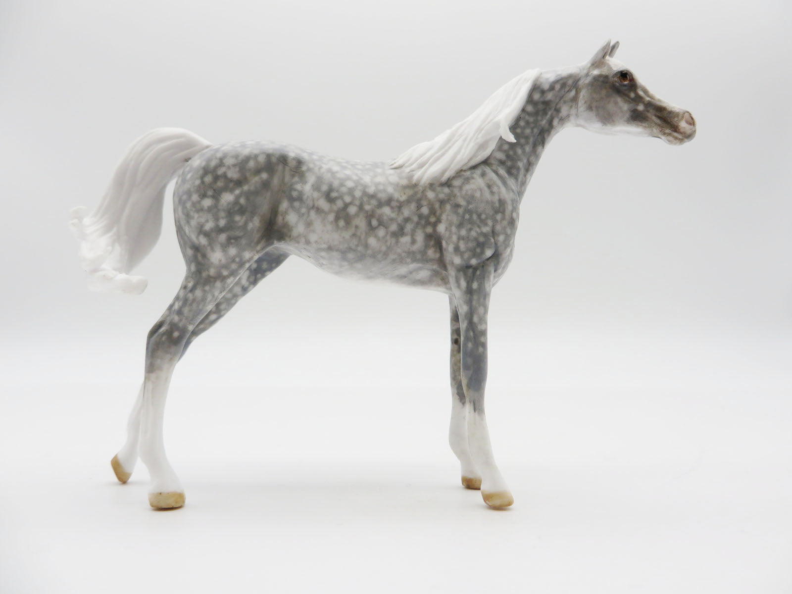 SAGUARO - OOAK Dapple Grey Arabian Chip LHS 22