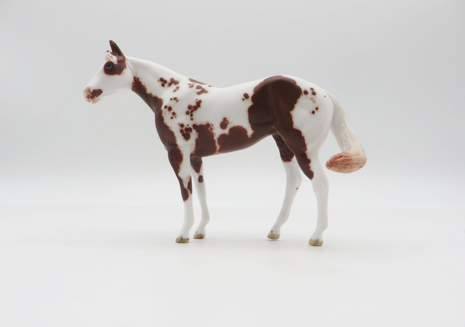 SHENANDOAH - OOAK Chestnut Stock Chip LHS 22