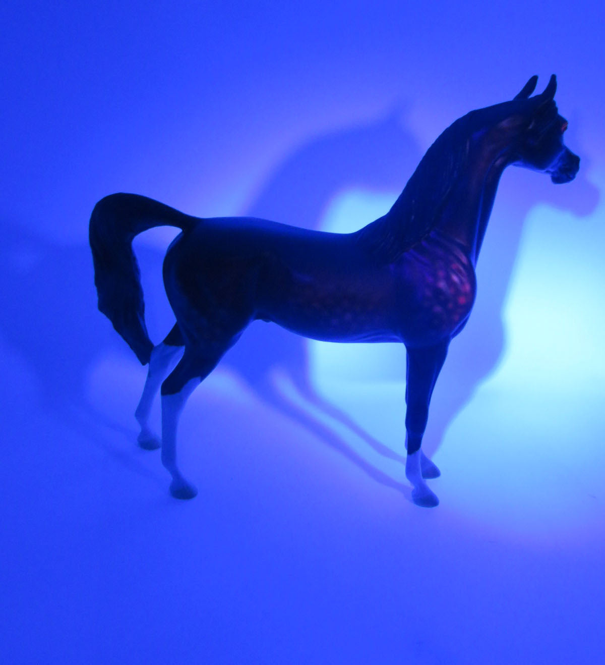 Sinuous - OOAK - Black Going Grey Arabian Halloween Decorator with Blacklight Red Effect Painted By Ellen Robbins - MM22