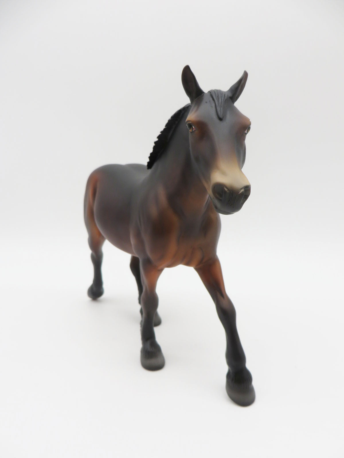 Smokey The  Bear - LE 10 Dapple Seal Bay Pebbles Draft By  Jess Hamill LHS 22