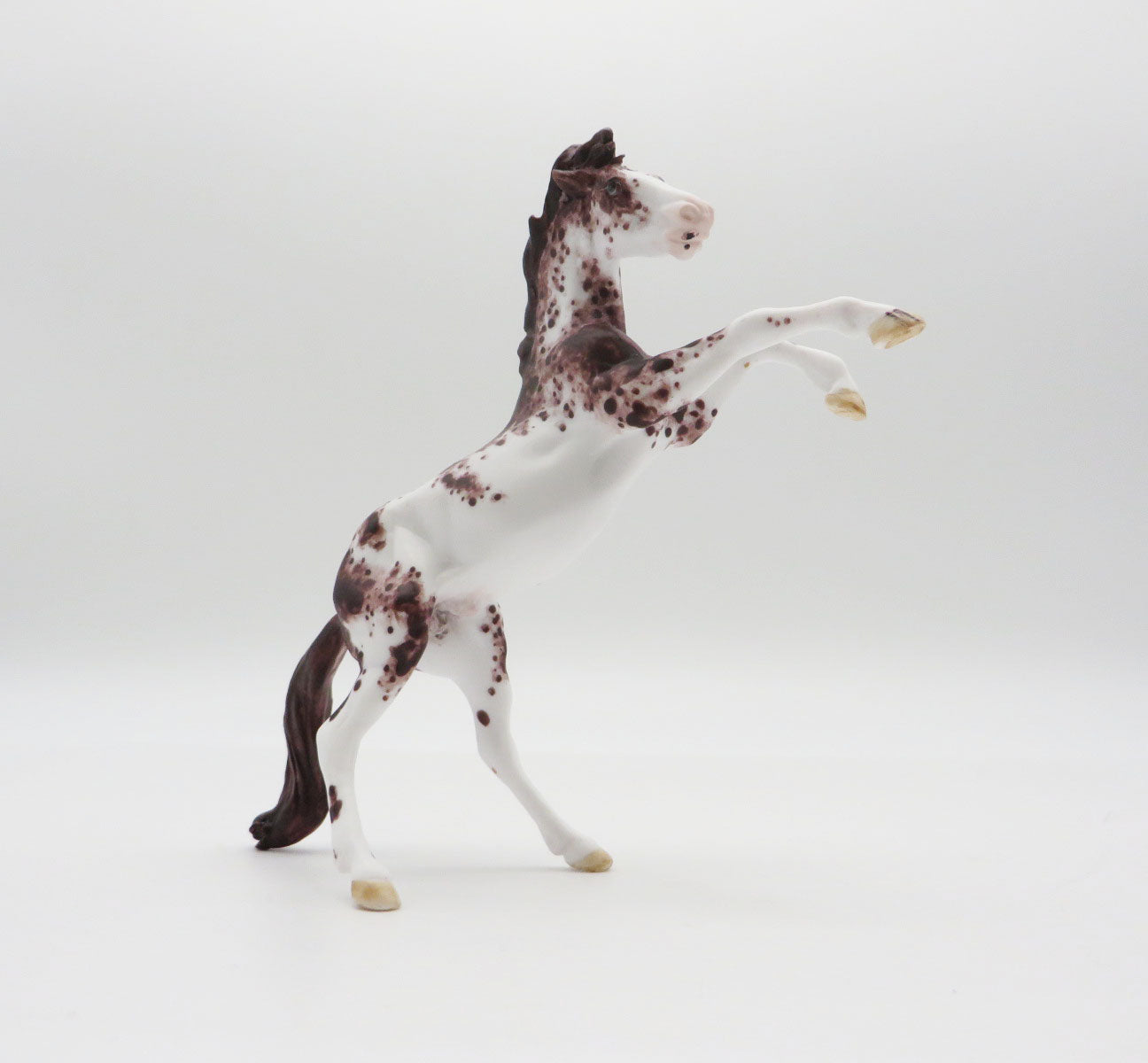 SMOKYMOUNTAINS - OOAK Chestnut Appy Rearing Chip LHS 22