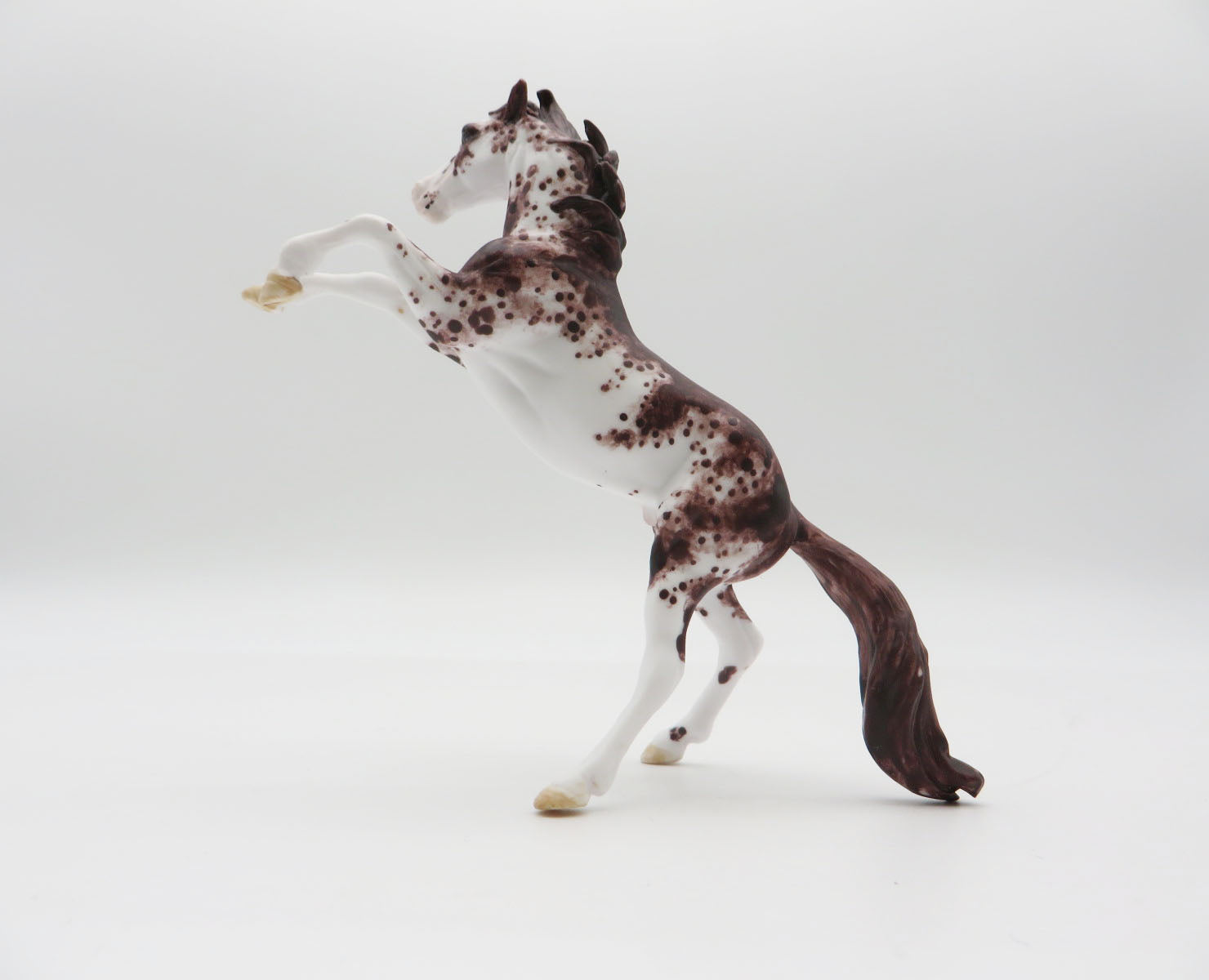 SMOKYMOUNTAINS - OOAK Chestnut Appy Rearing Chip LHS 22