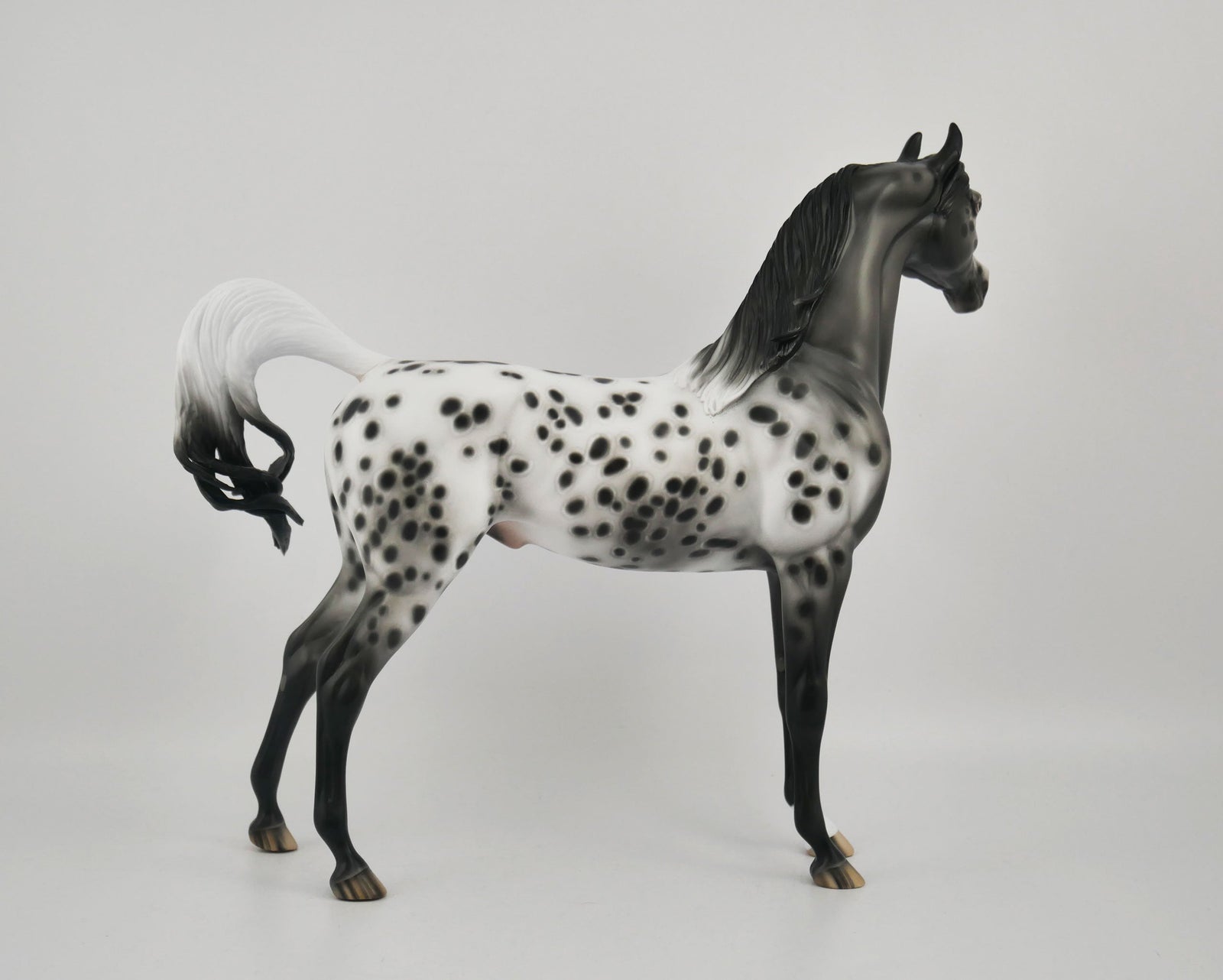 SOOLEAWA-OOAK BLACK ARAB BY SHERYL LEISURE 10/27/20