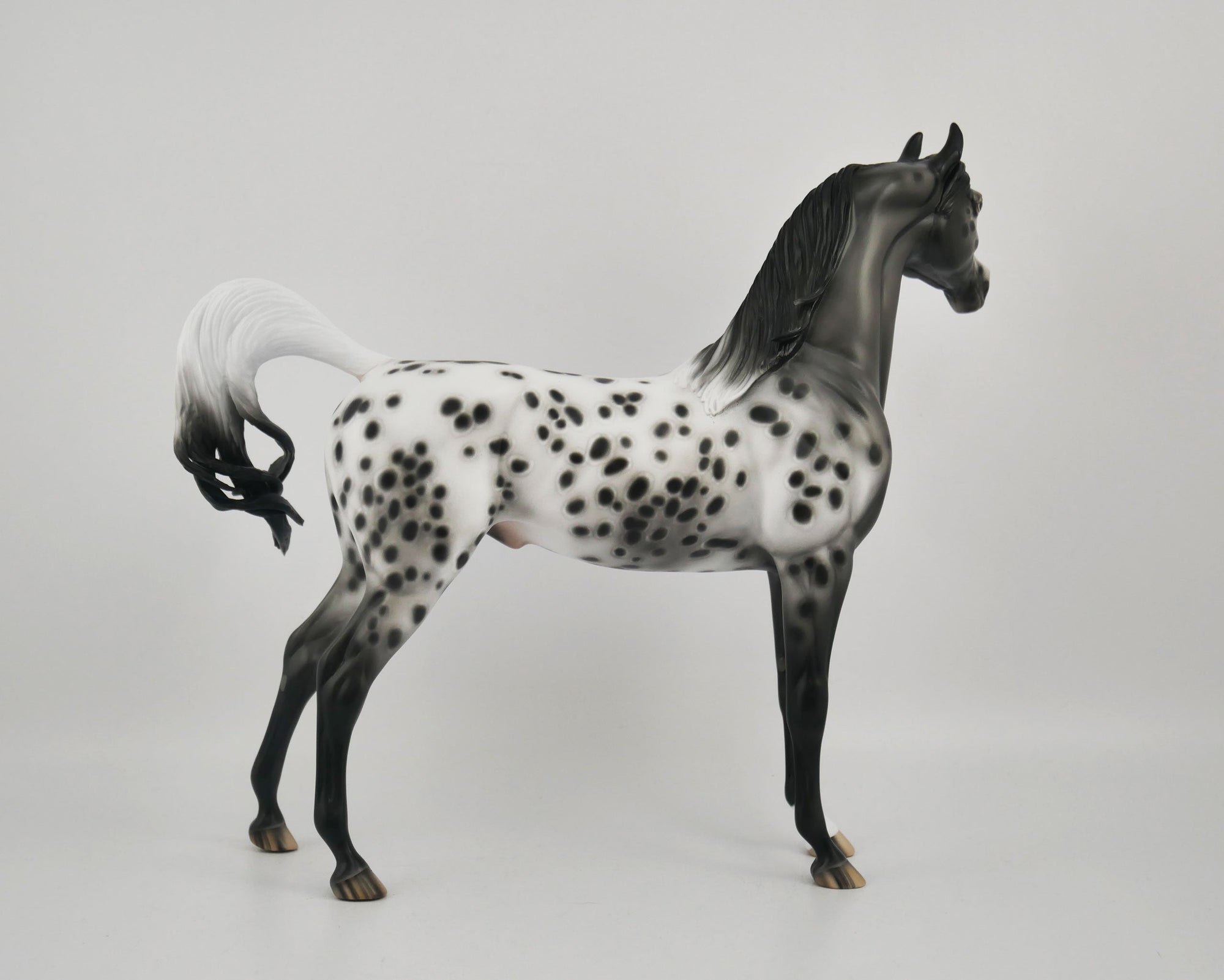 SOOLEAWA-OOAK BLACK ARAB BY SHERYL LEISURE 10/27/20