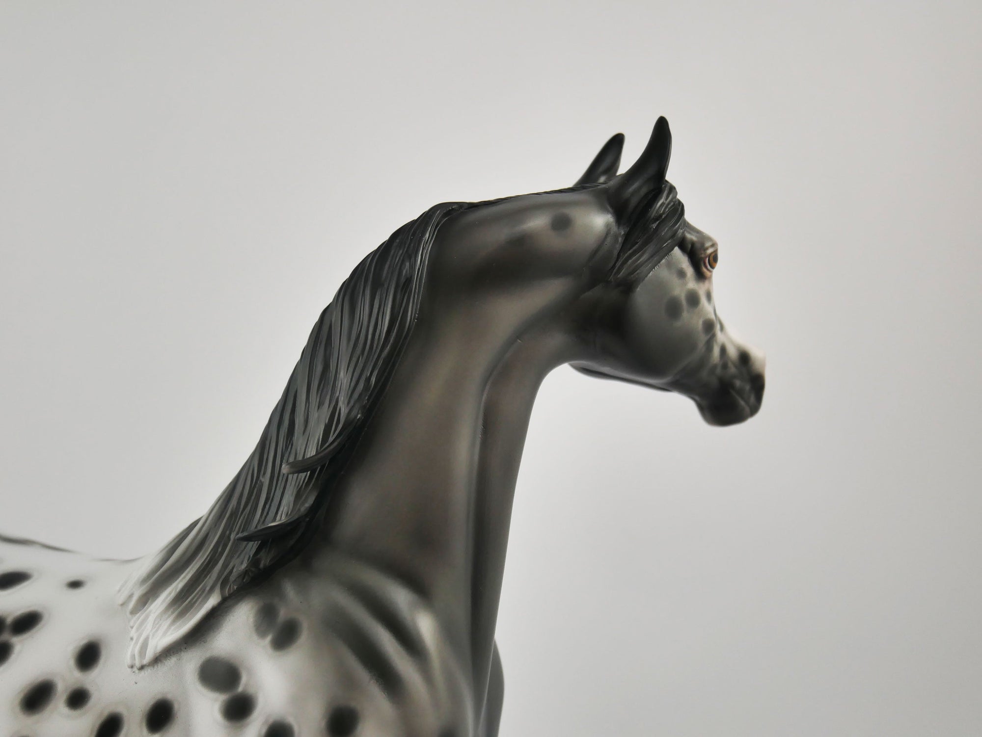 SOOLEAWA-OOAK BLACK ARAB BY SHERYL LEISURE 10/27/20