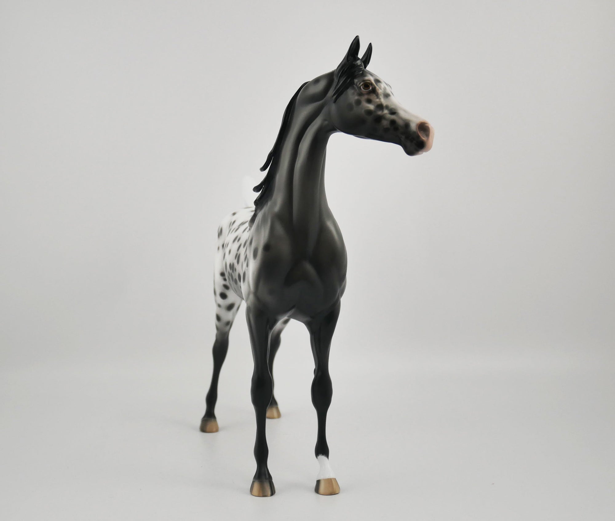 SOOLEAWA-OOAK BLACK ARAB BY SHERYL LEISURE 10/27/20
