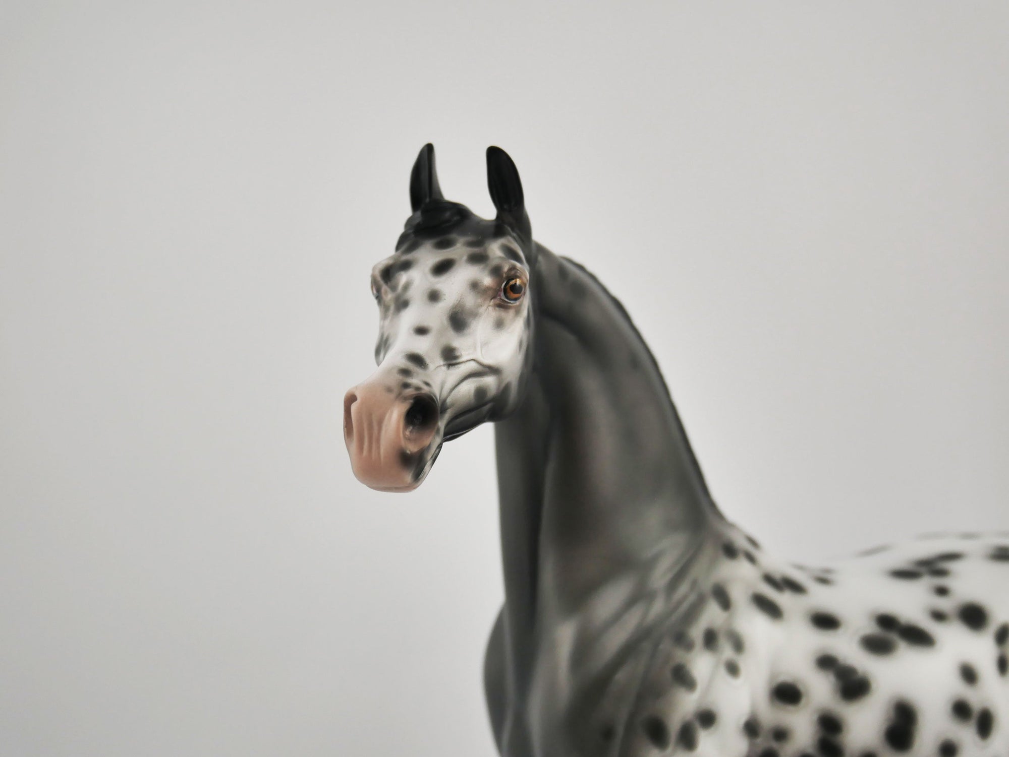 SOOLEAWA-OOAK BLACK ARAB BY SHERYL LEISURE 10/27/20