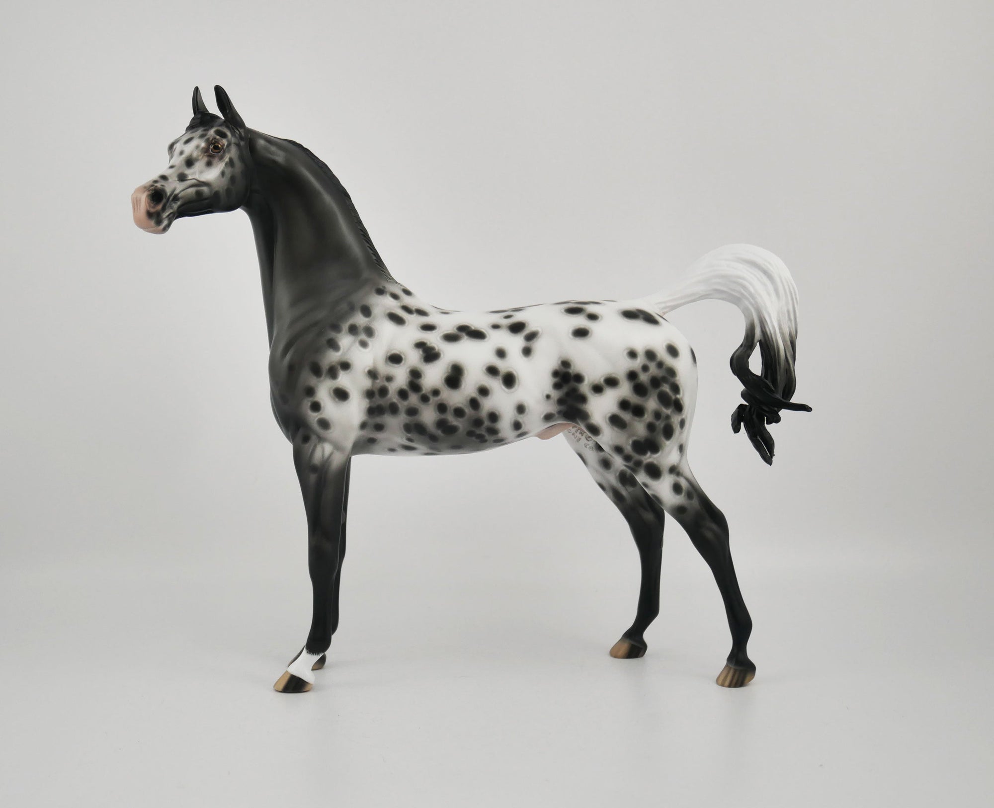 SOOLEAWA-OOAK BLACK ARAB BY SHERYL LEISURE 10/27/20