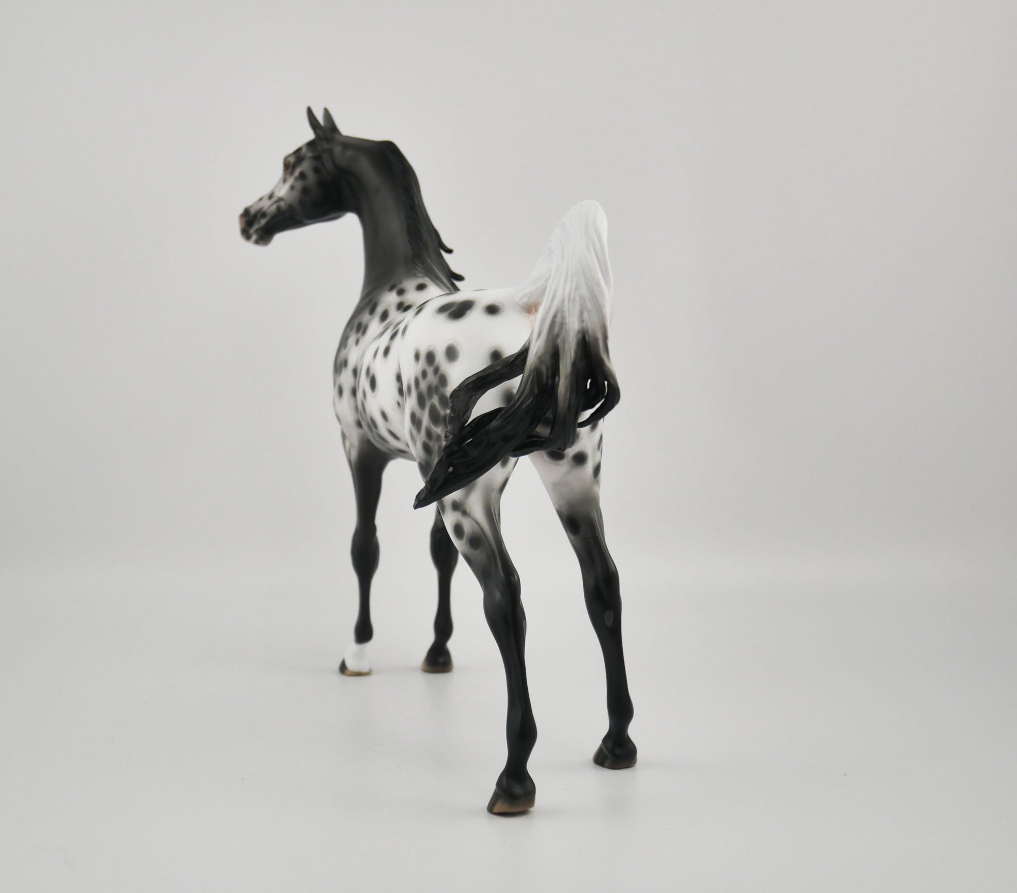 SOOLEAWA-OOAK BLACK ARAB BY SHERYL LEISURE 10/27/20