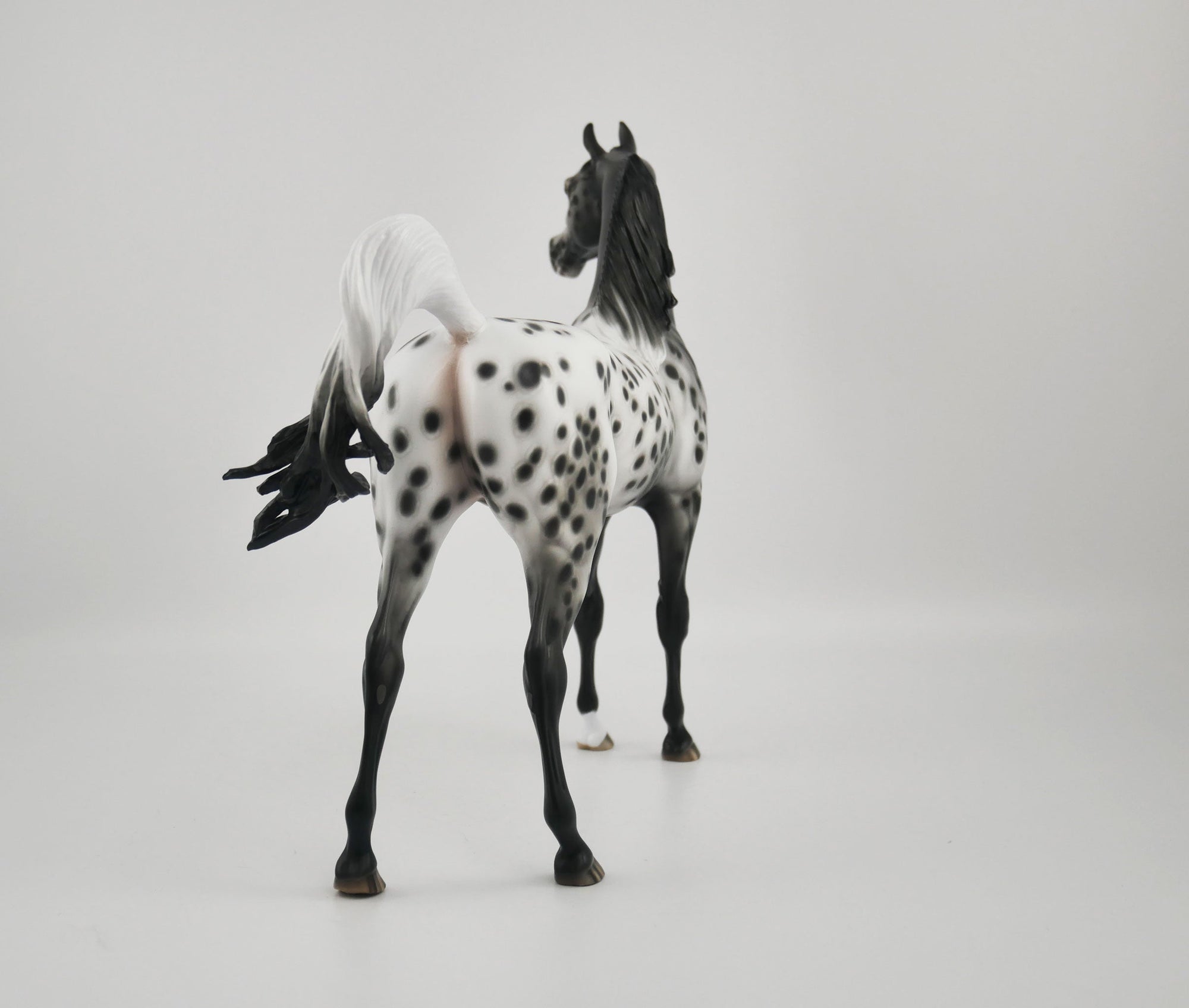 SOOLEAWA-OOAK BLACK ARAB BY SHERYL LEISURE 10/27/20