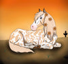 Sunflower-Le-20 Palomino Appaloosa Pony Painted By Audrey Dixon EQ 21