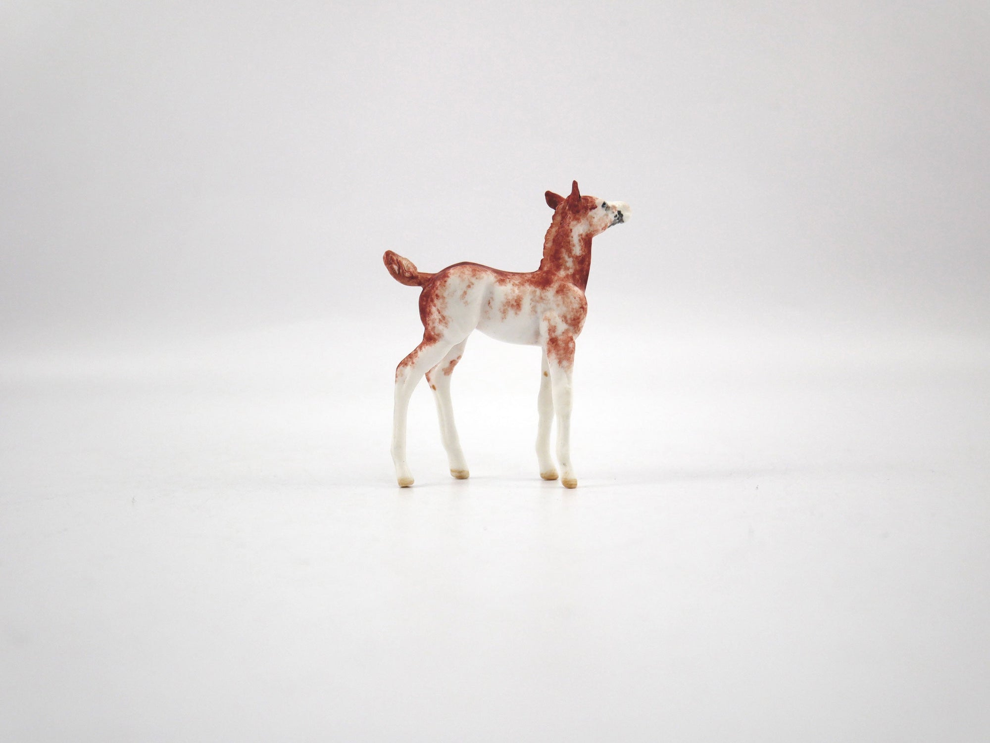 Sadie-OOAK Chestnut Sabino Foal Chip  SB21
