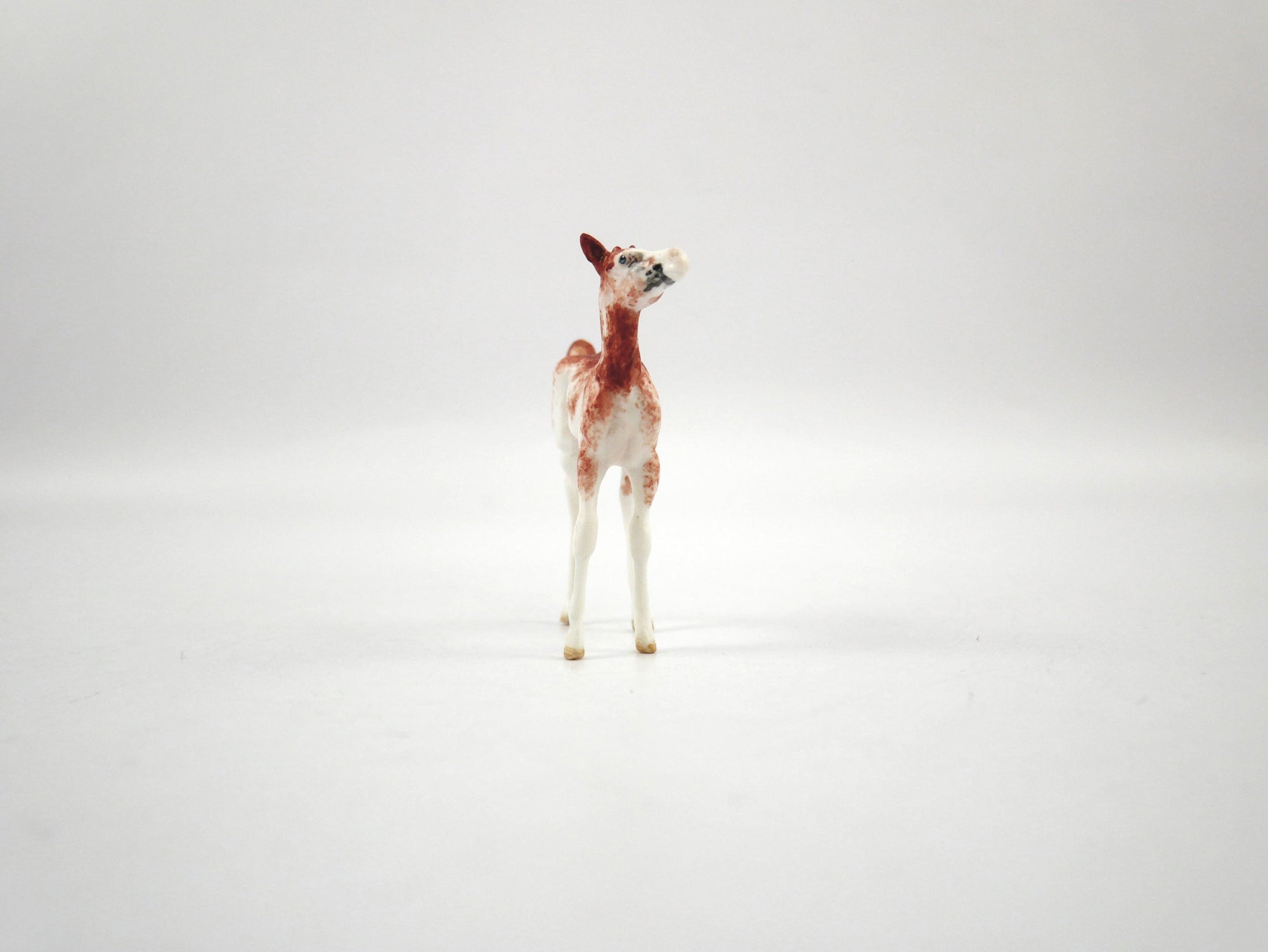 Sadie-OOAK Chestnut Sabino Foal Chip  SB21