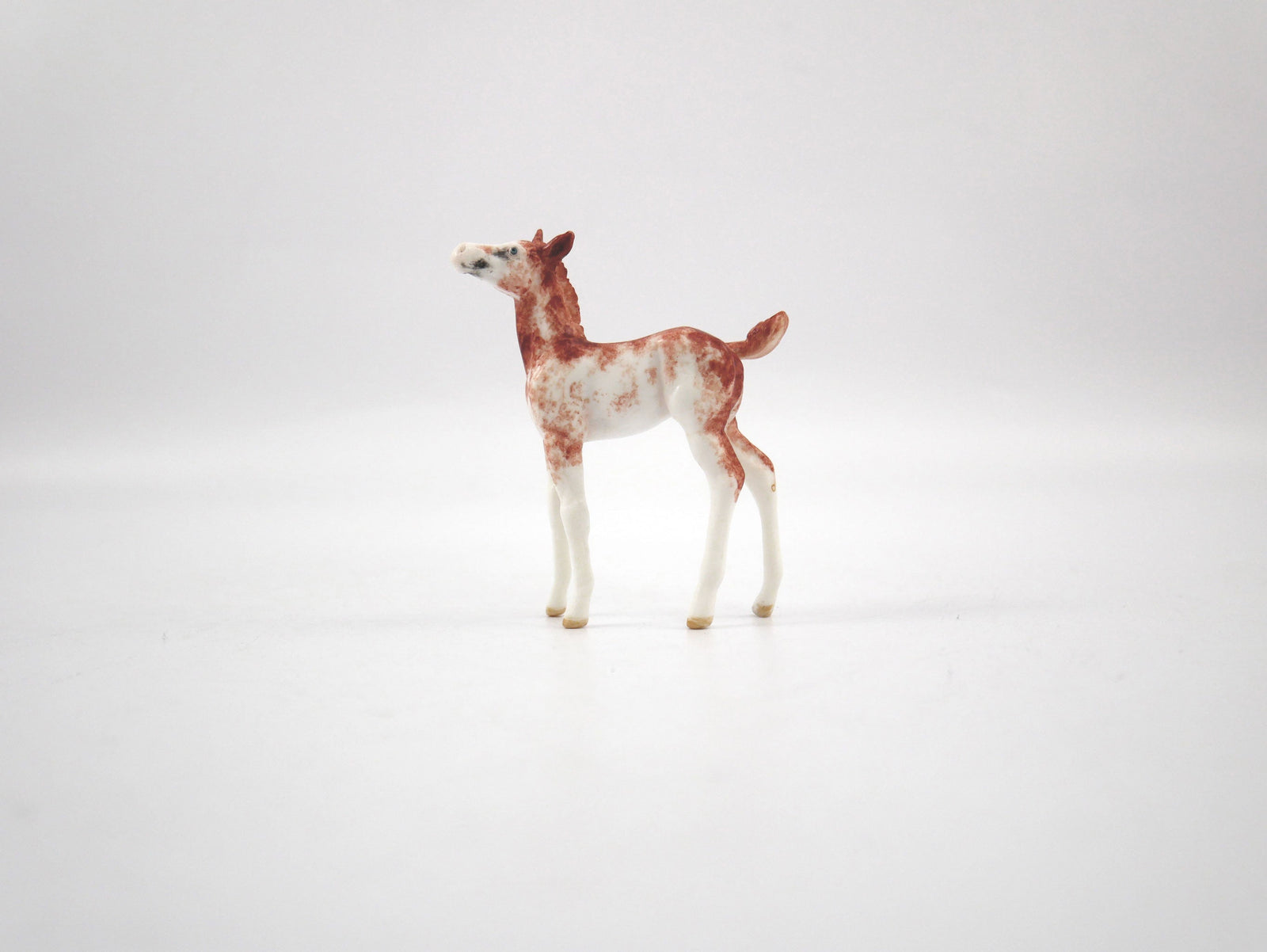 Sadie-OOAK Chestnut Sabino Foal Chip  SB21