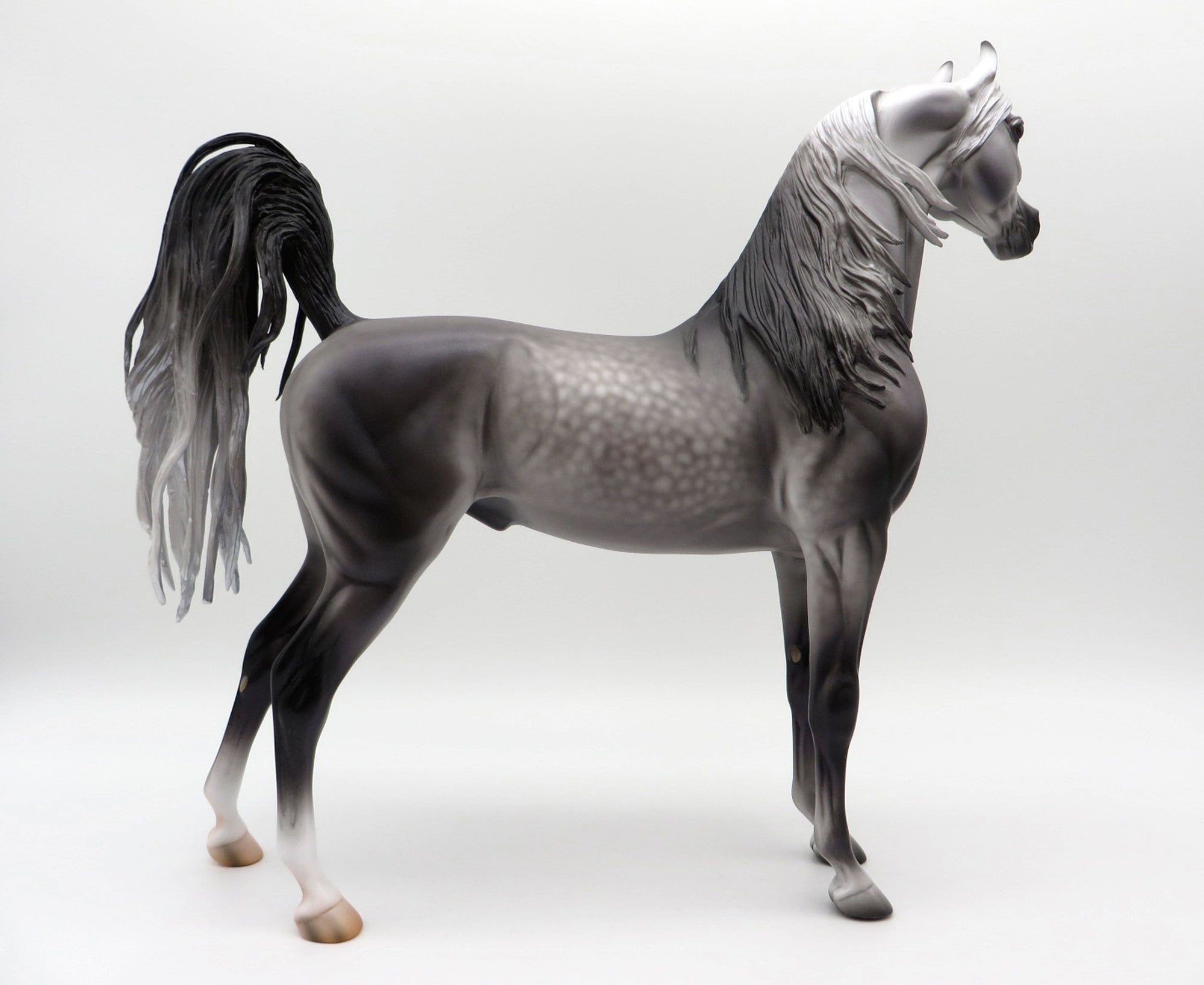 Saint Lawrence-OOAK Dapple Grey Arabian Painted by Caroline Boydston