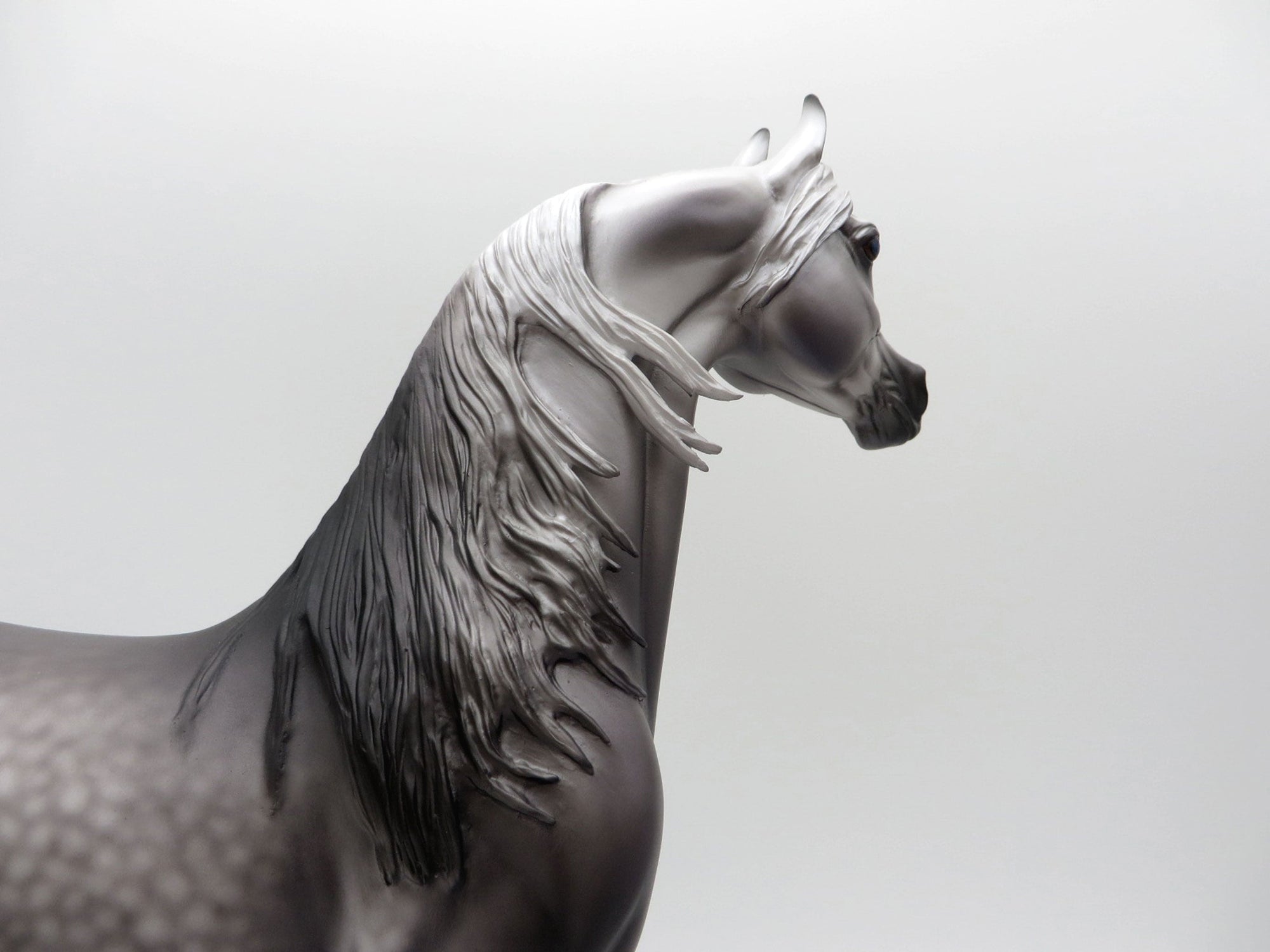 Saint Lawrence-OOAK Dapple Grey Arabian Painted by Caroline Boydston