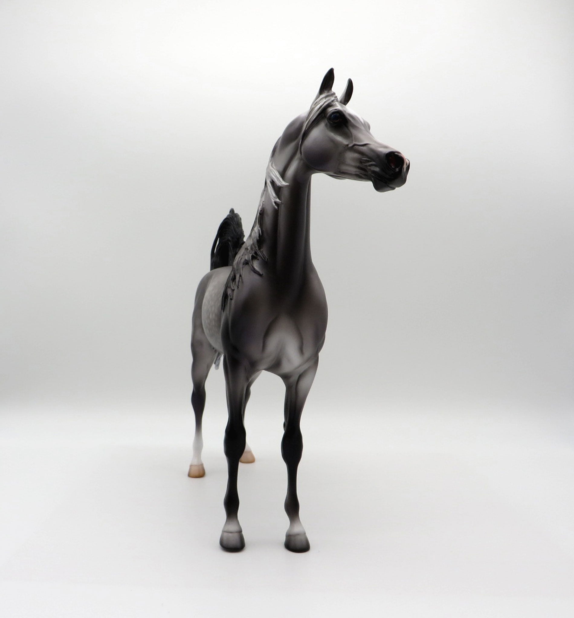 Saint Lawrence-OOAK Dapple Grey Arabian Painted by Caroline Boydston