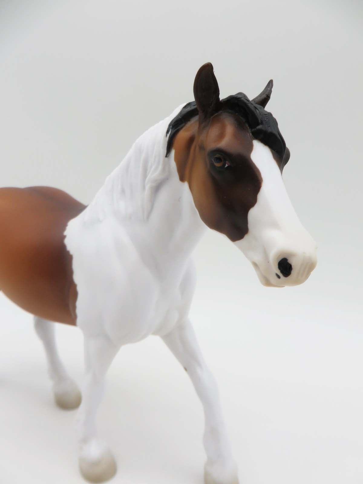 Saint-OOAK Bay Pinto Pebbles Draft By Jess Hamill-P&amp;C 23