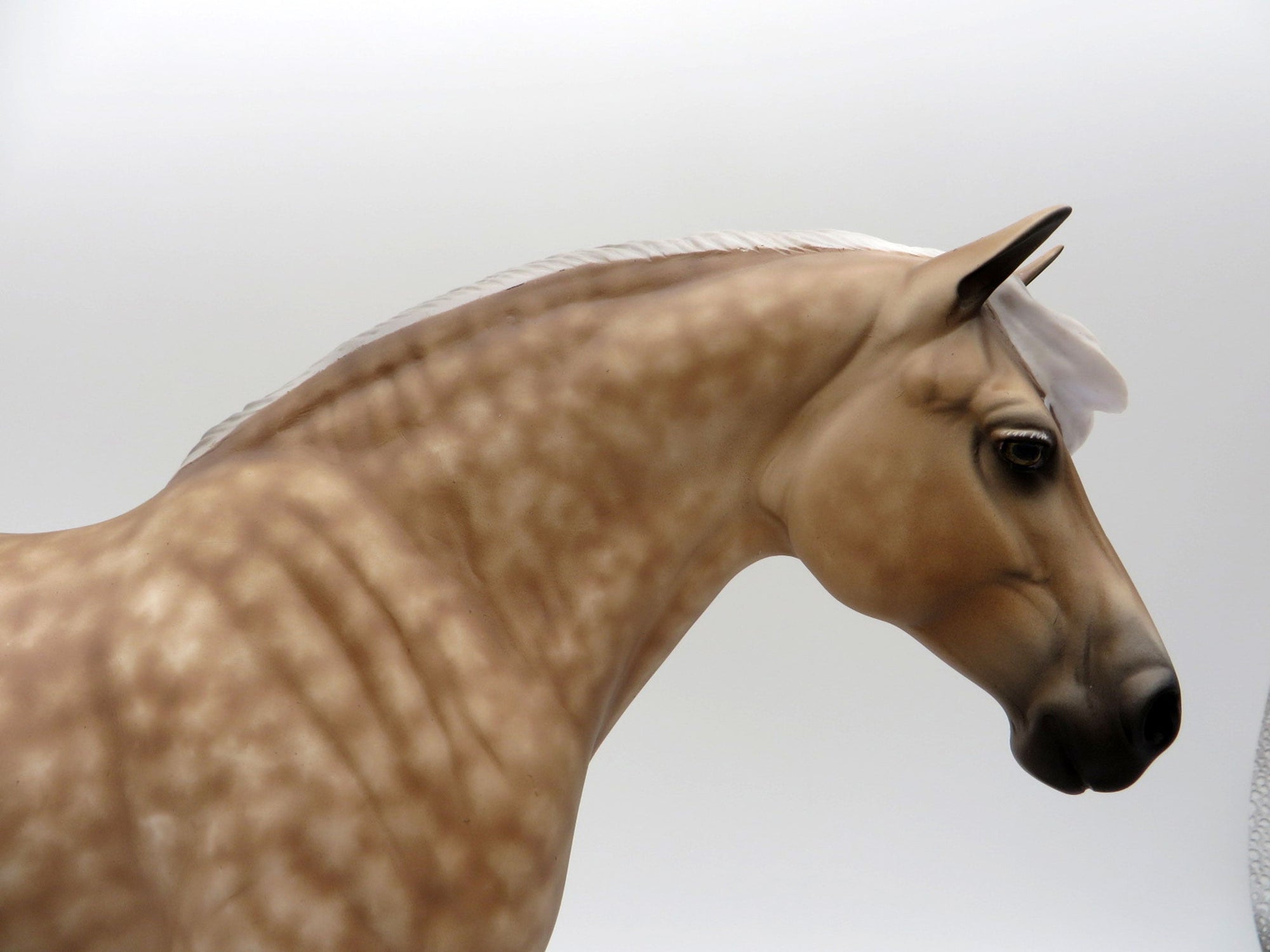 Salty Carmel-OOAK Salted Chestnut Heavy Draft Painted By Sheryl Leisure 6/14/21