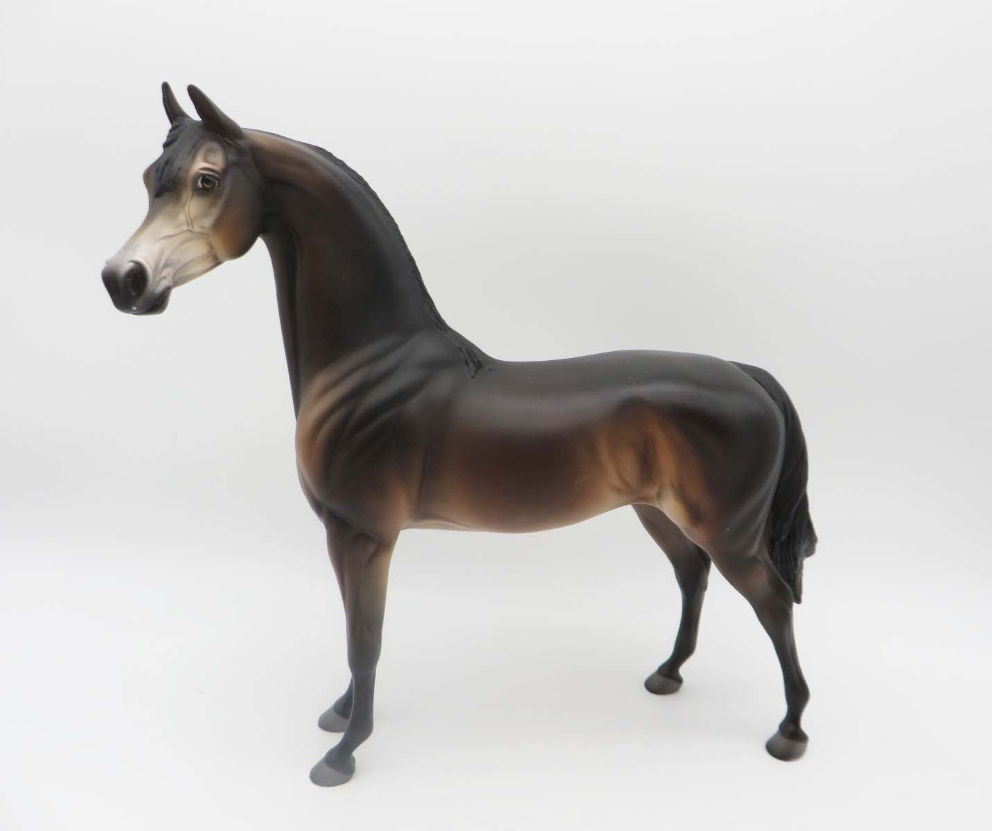 Saluki -OOAK - Seal Bay Arabian By Jess Hamill P&C 23