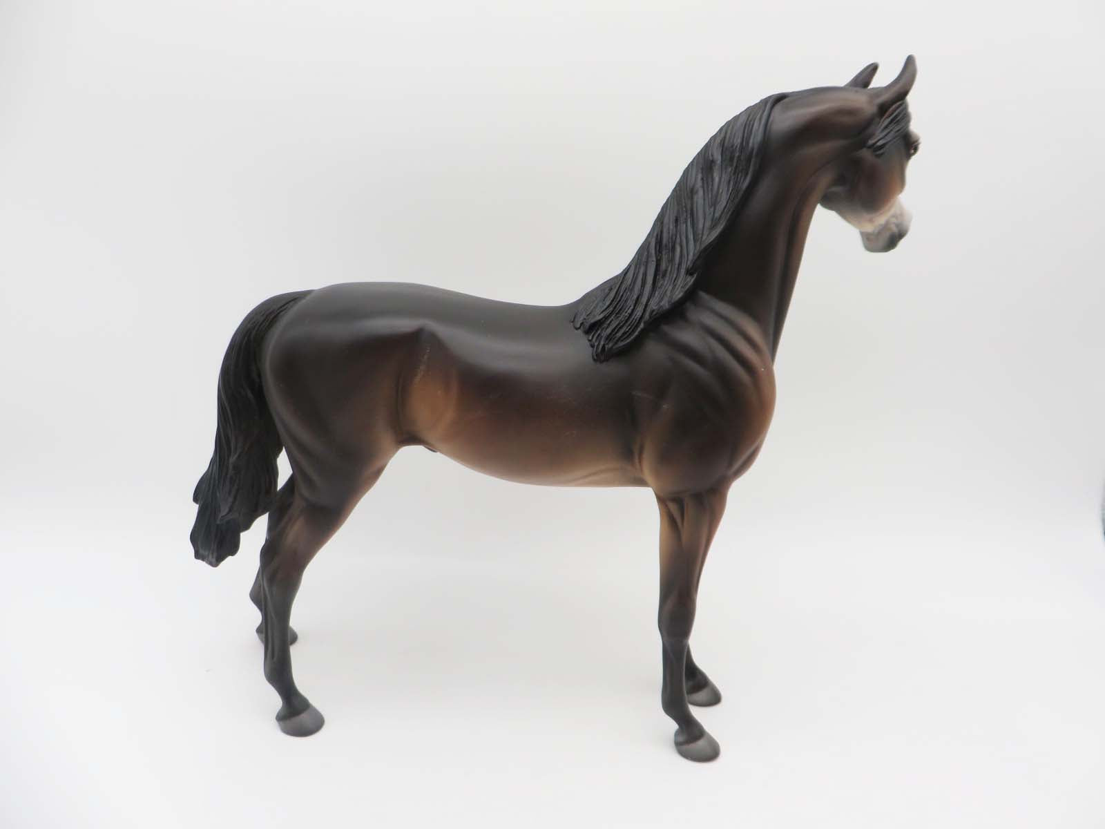 Saluki -OOAK - Seal Bay Arabian By Jess Hamill P&amp;C 23