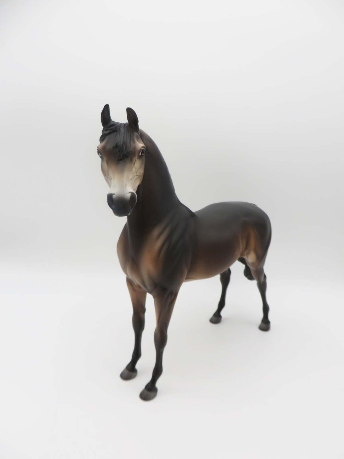 Saluki -OOAK - Seal Bay Arabian By Jess Hamill P&amp;C 23