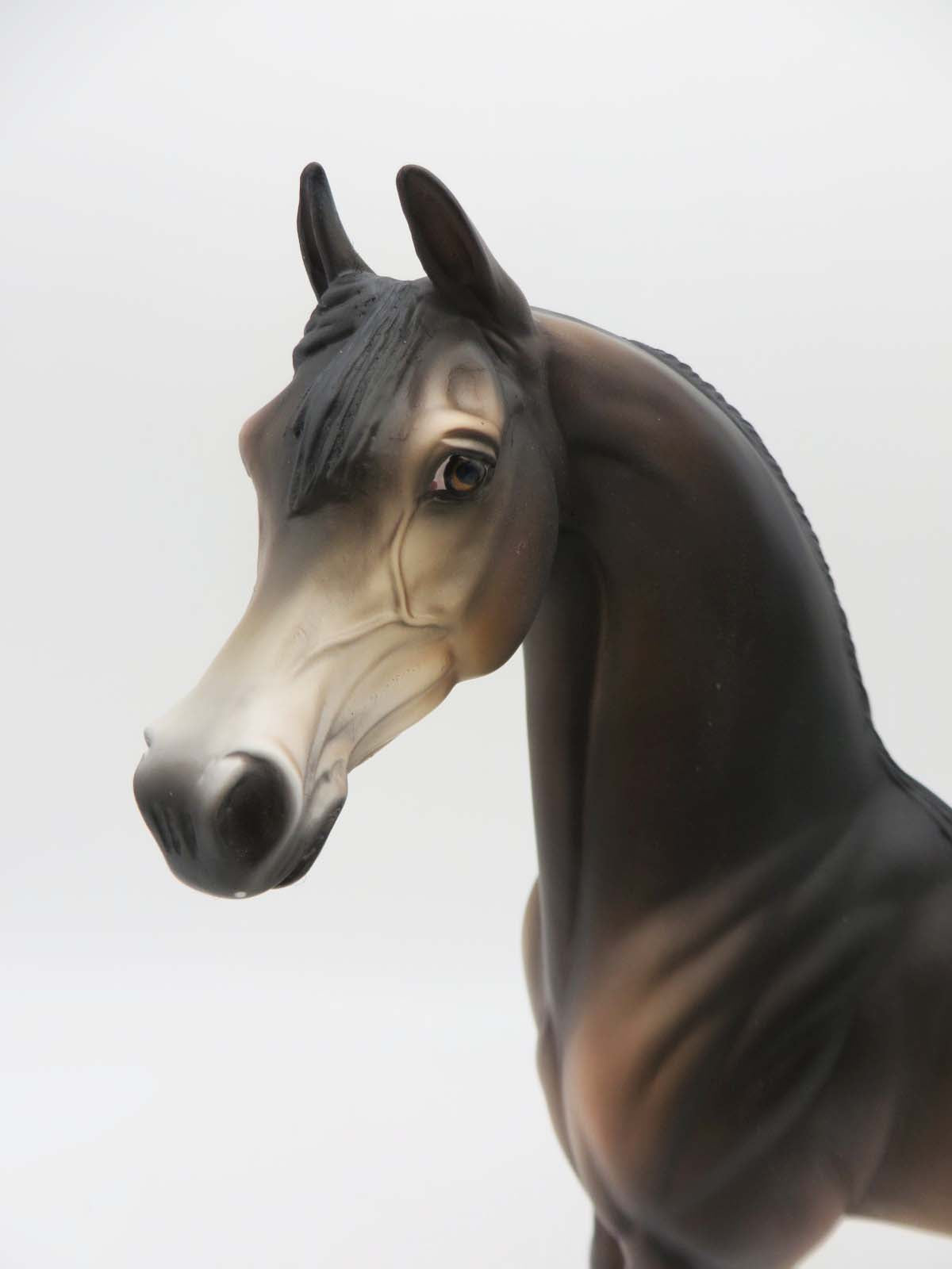 Saluki -OOAK - Seal Bay Arabian By Jess Hamill P&amp;C 23