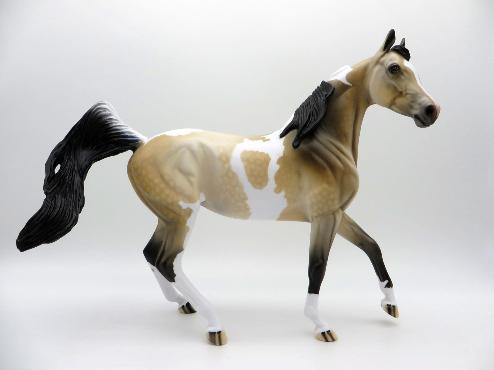 Sandstorm-OOAK Buckskin Paint Arabian Mare SHCF 2021