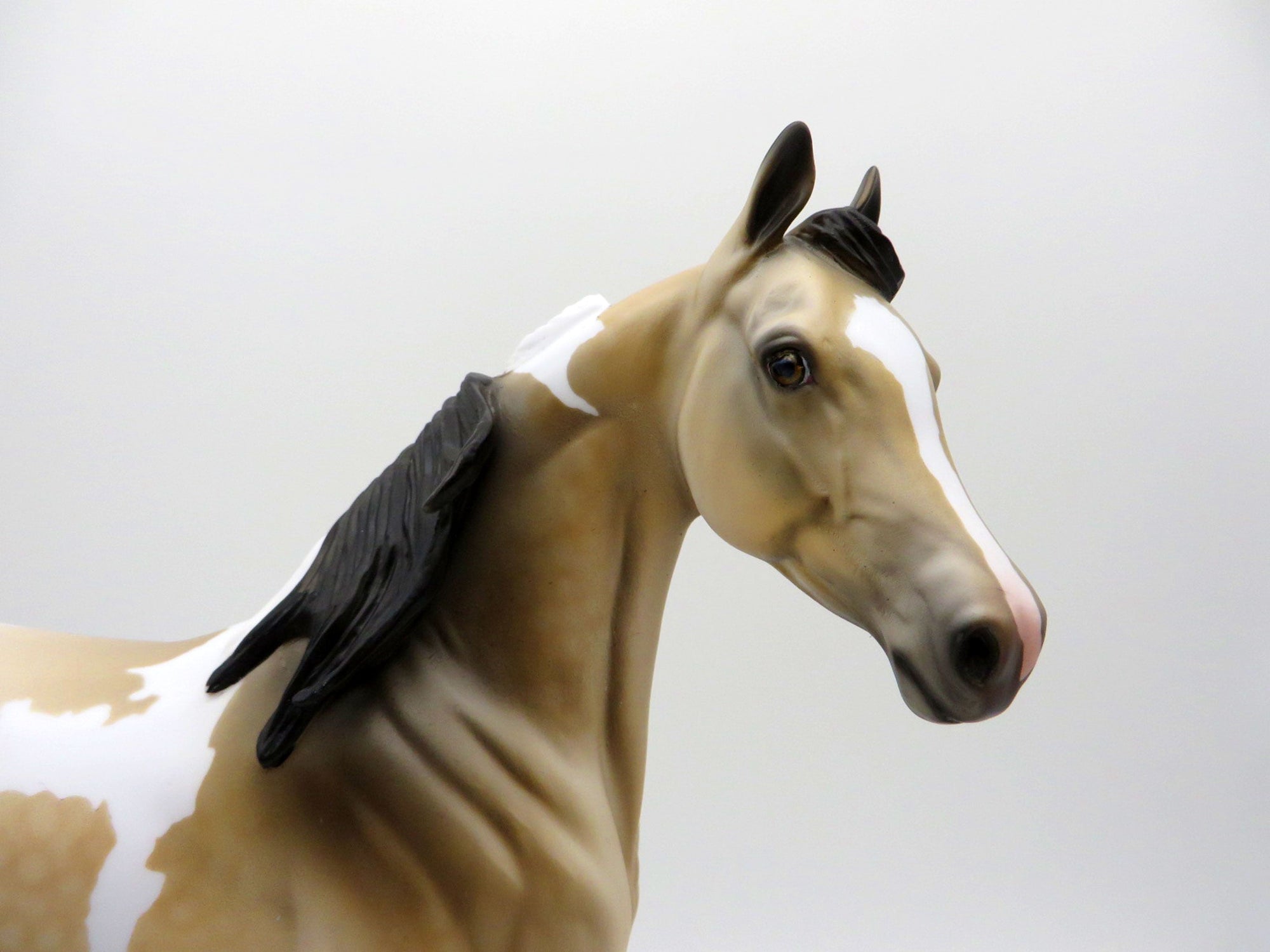 Sandstorm-OOAK Buckskin Paint Arabian Mare SHCF 2021