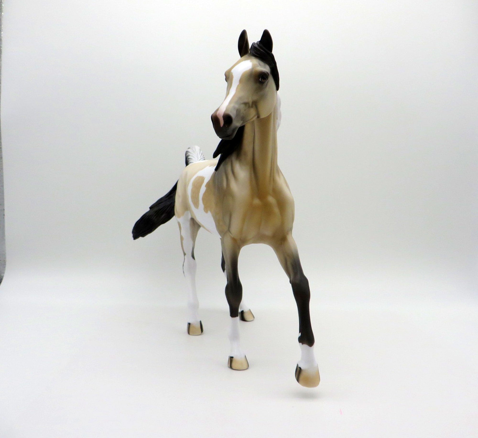 Sandstorm-OOAK Buckskin Paint Arabian Mare SHCF 2021