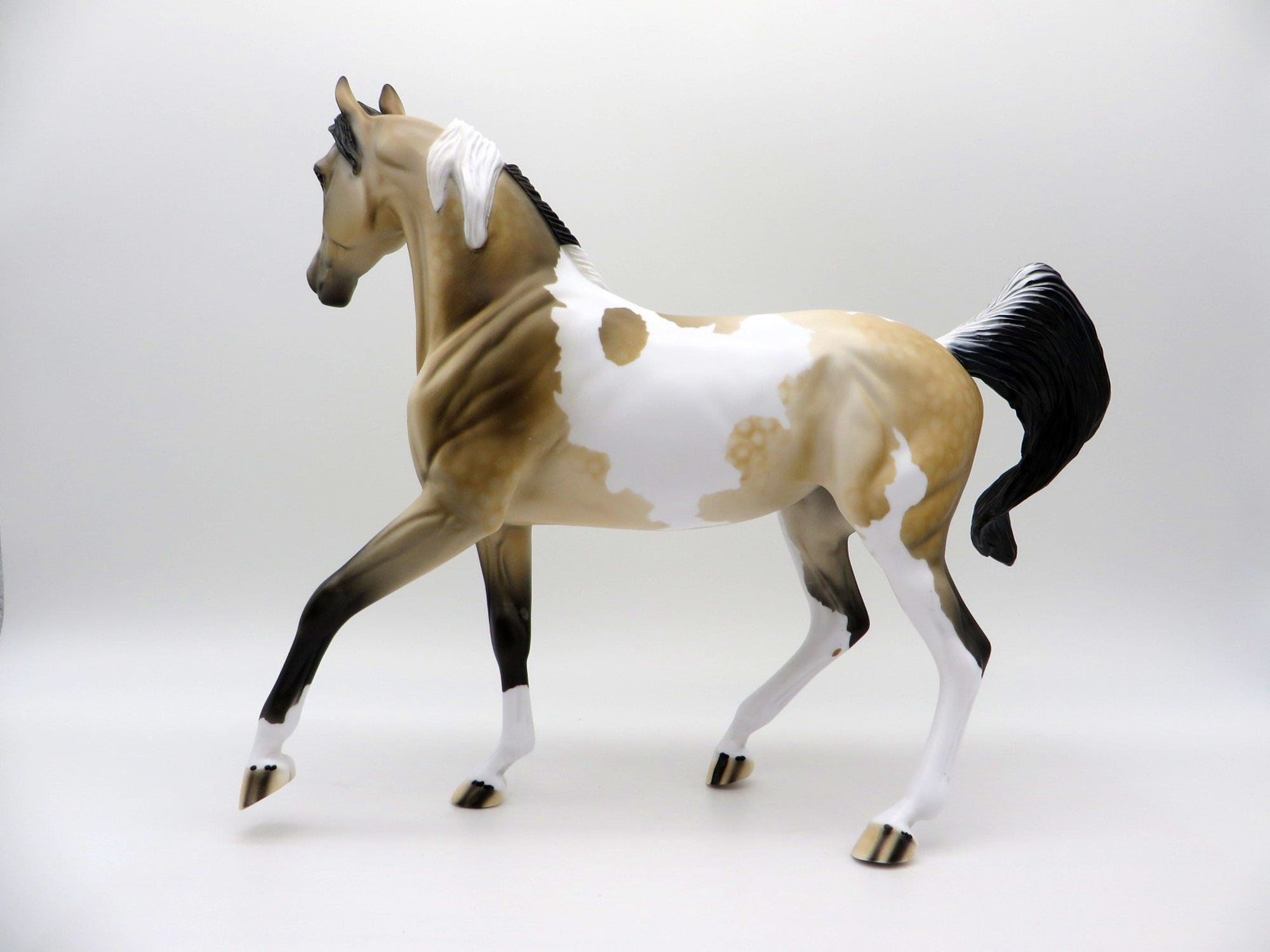 Sandstorm-OOAK Buckskin Paint Arabian Mare SHCF 2021
