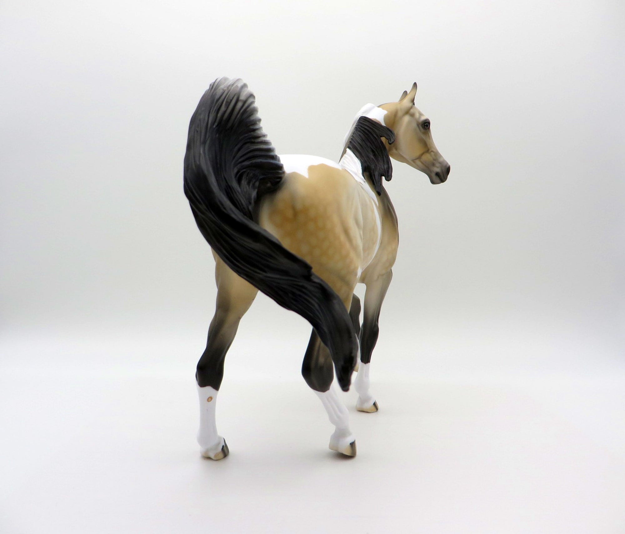 Sandstorm-OOAK Buckskin Paint Arabian Mare SHCF 2021