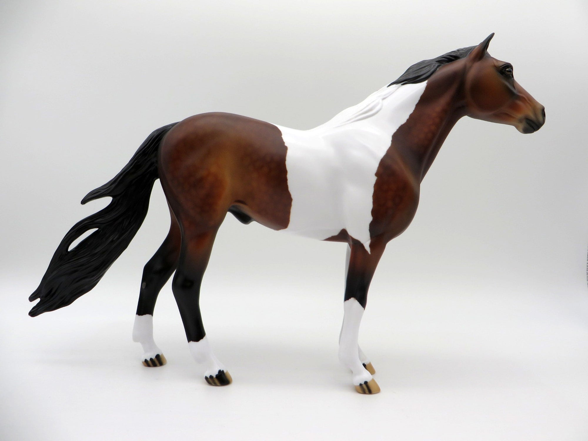 Sanskrit-OOAK Bay Pinto Mustang  SHCF 2021