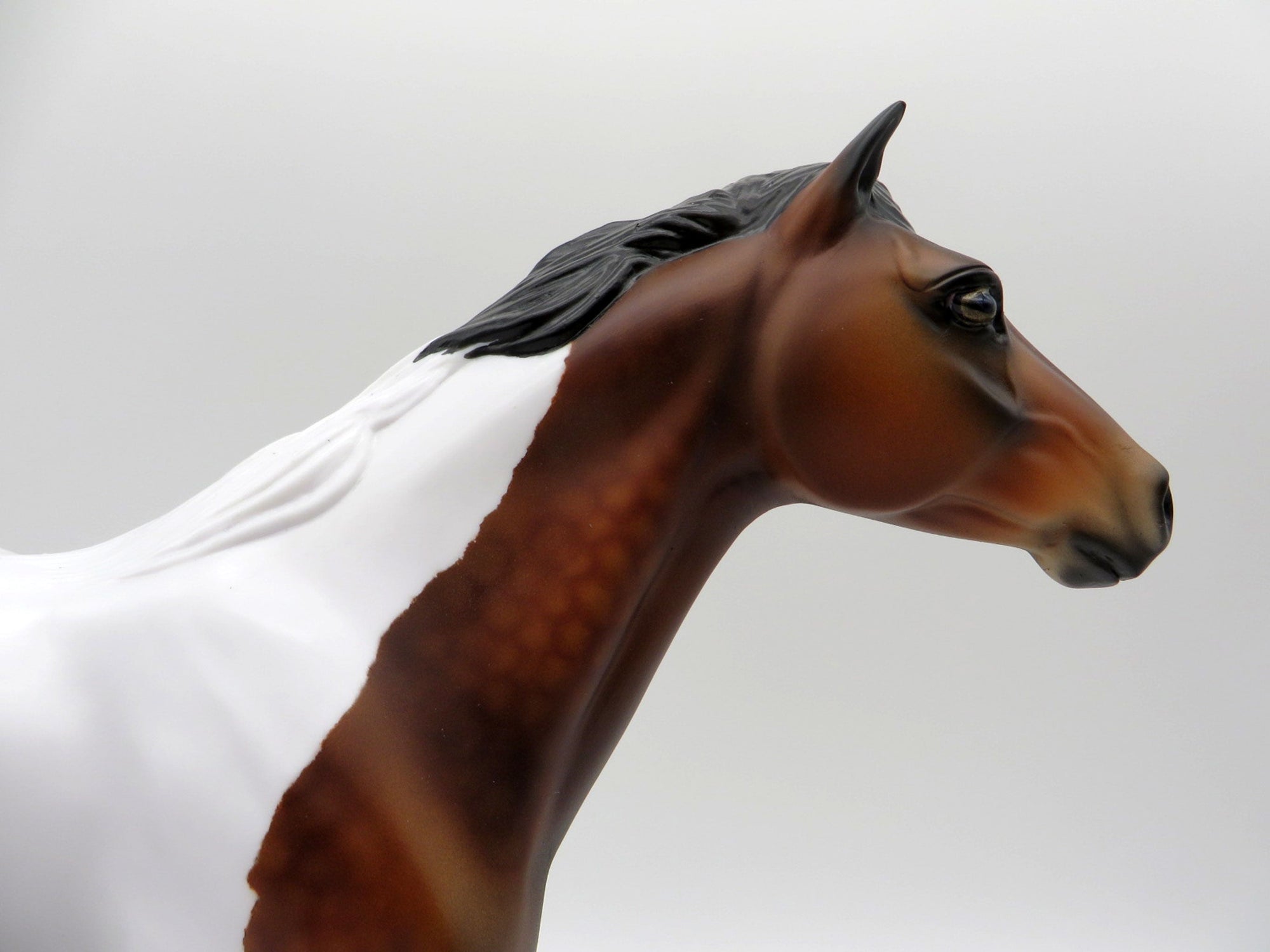 Sanskrit-OOAK Bay Pinto Mustang  SHCF 2021