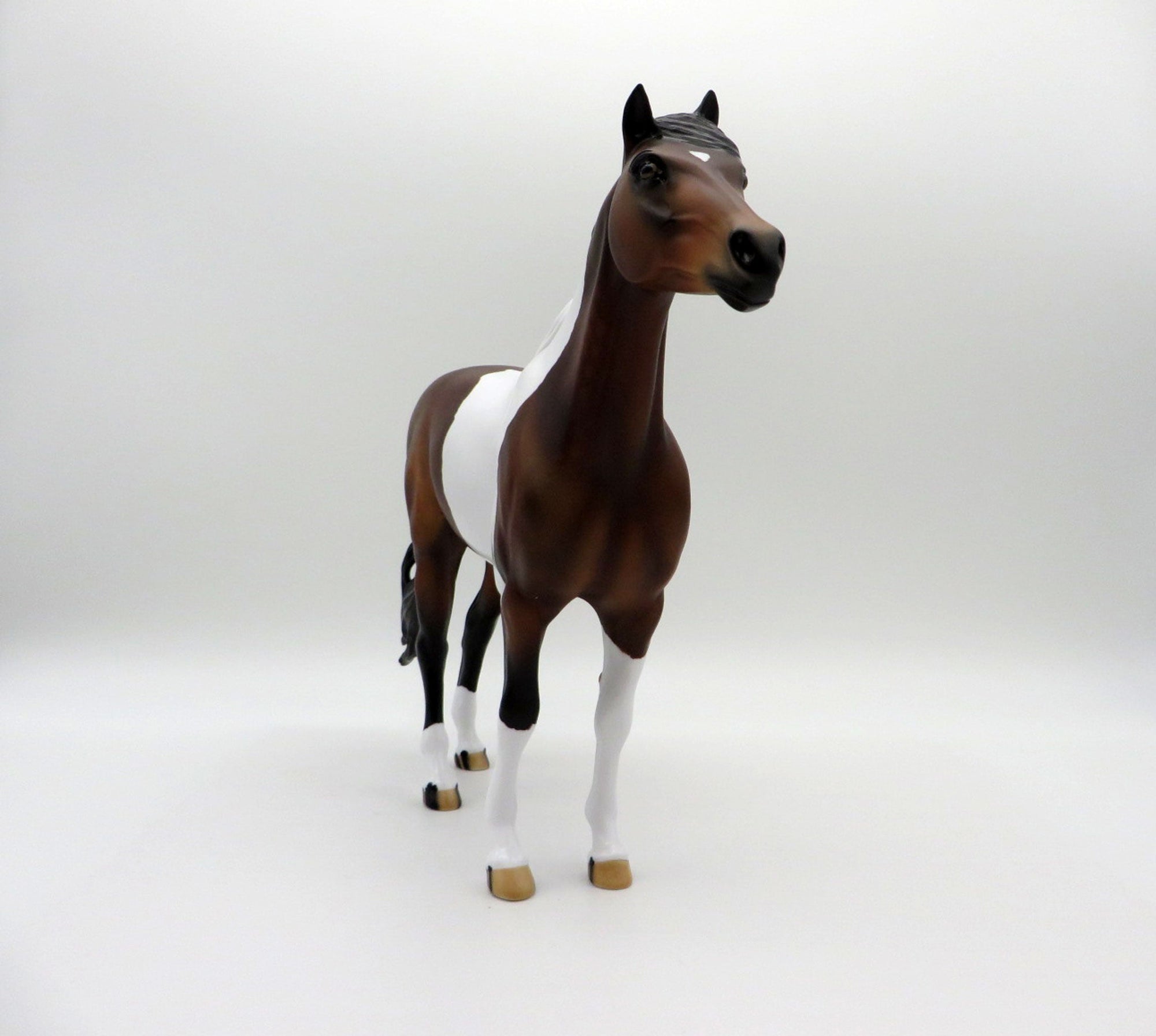 Sanskrit-OOAK Bay Pinto Mustang  SHCF 2021