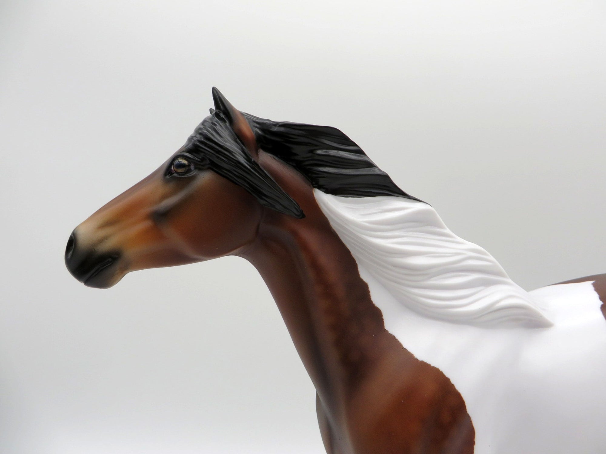 Sanskrit-OOAK Bay Pinto Mustang  SHCF 2021