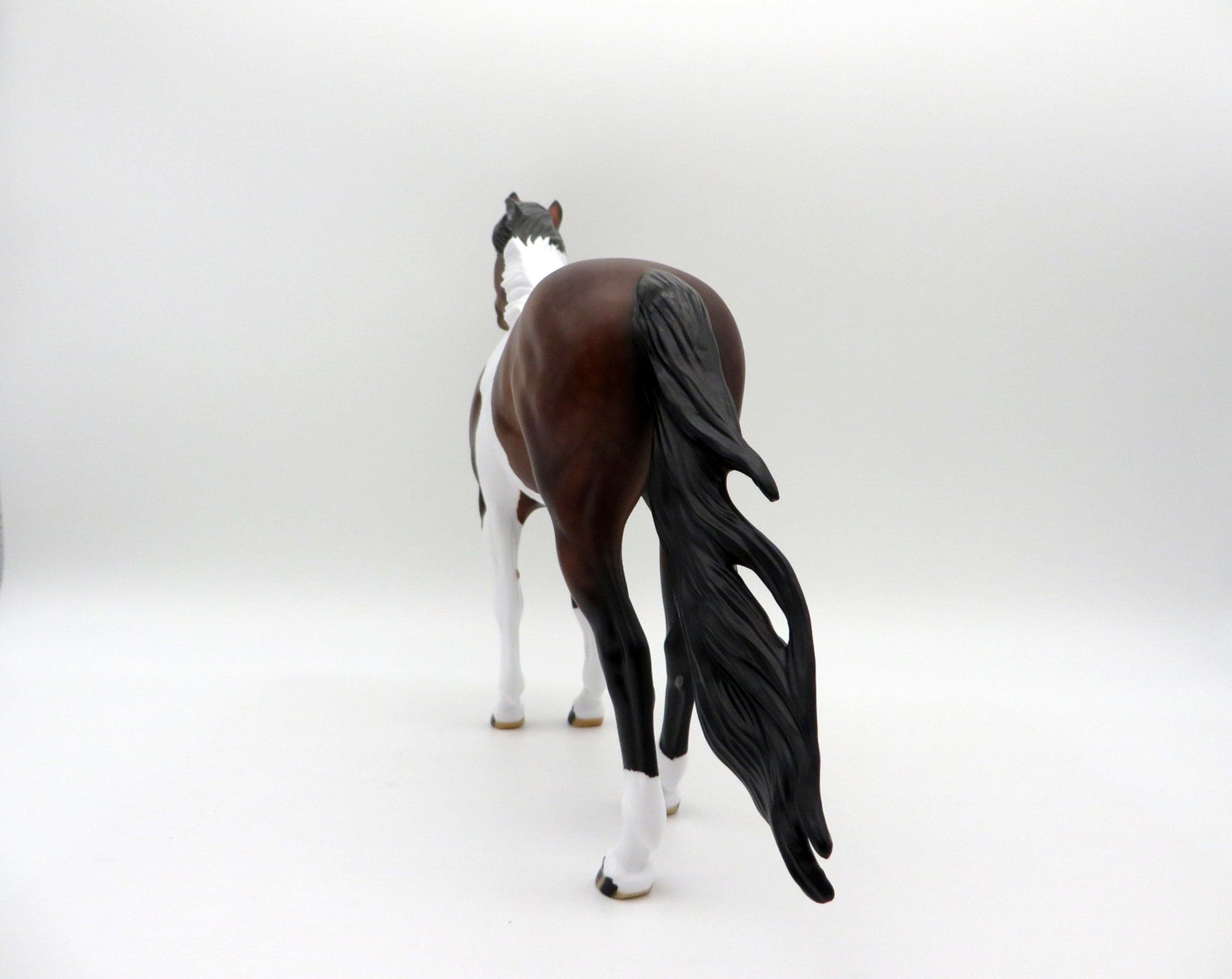 Sanskrit-OOAK Bay Pinto Mustang  SHCF 2021
