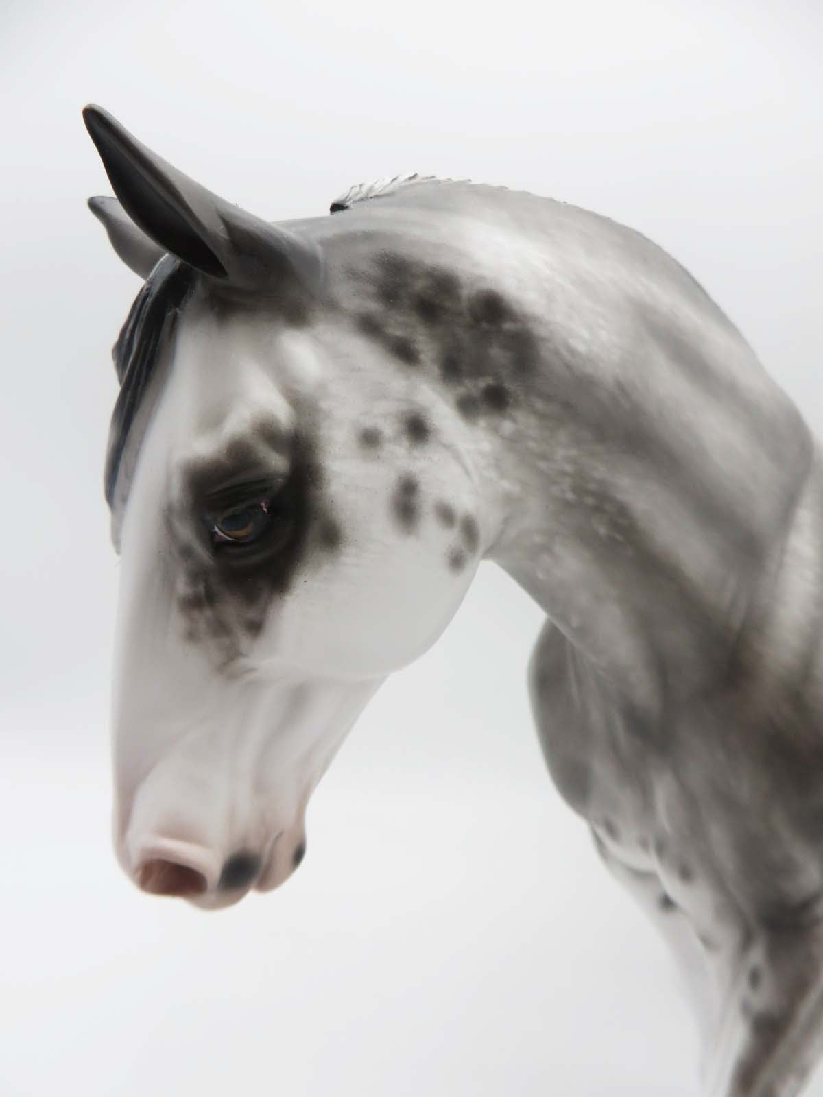 Santa Cruz - OOAK - Black Rabicano Irish Draught By Sheryl Leisure - Best Offer 4/17/23