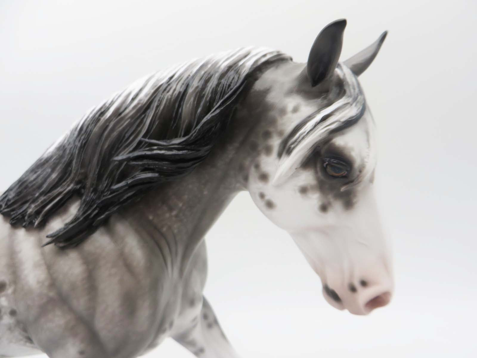 Santa Cruz - OOAK - Black Rabicano Irish Draught By Sheryl Leisure - Best Offer 4/17/23