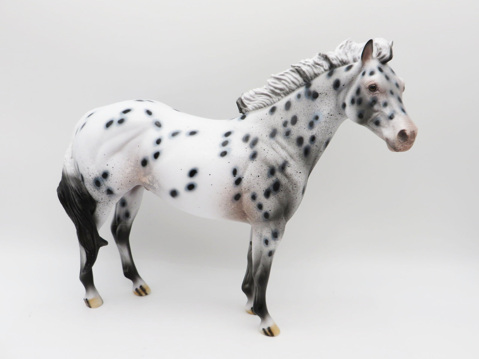 Santas Helper - LE 30 - Black Leopard Appaloosa Ideal Stock Horse By Dawn Quick - Christmas Tails 2022 - CT22