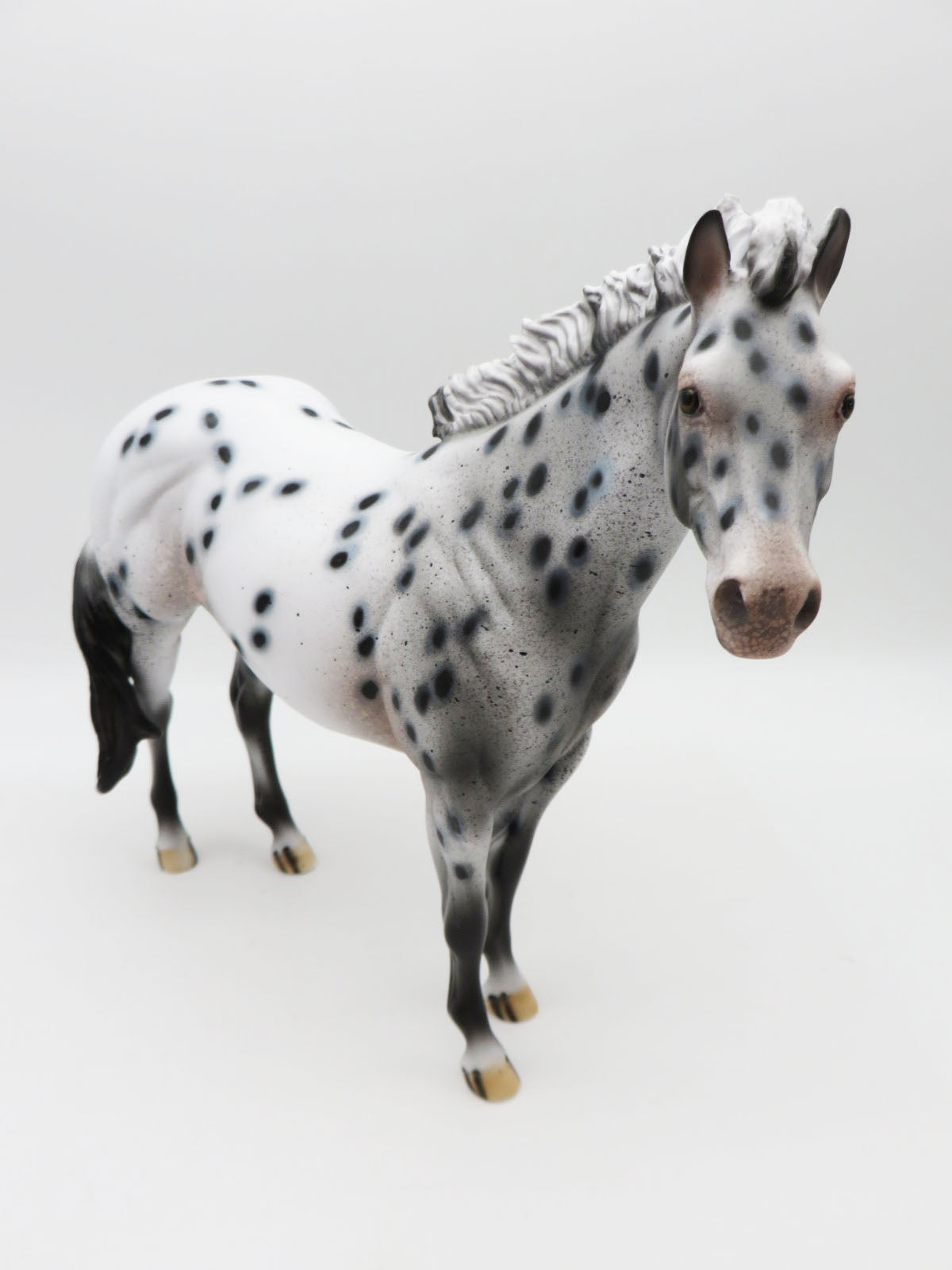 SAMPLE of Santas Helper Black Leopard Appaloosa Ideal Stock Horse By Dawn Quick